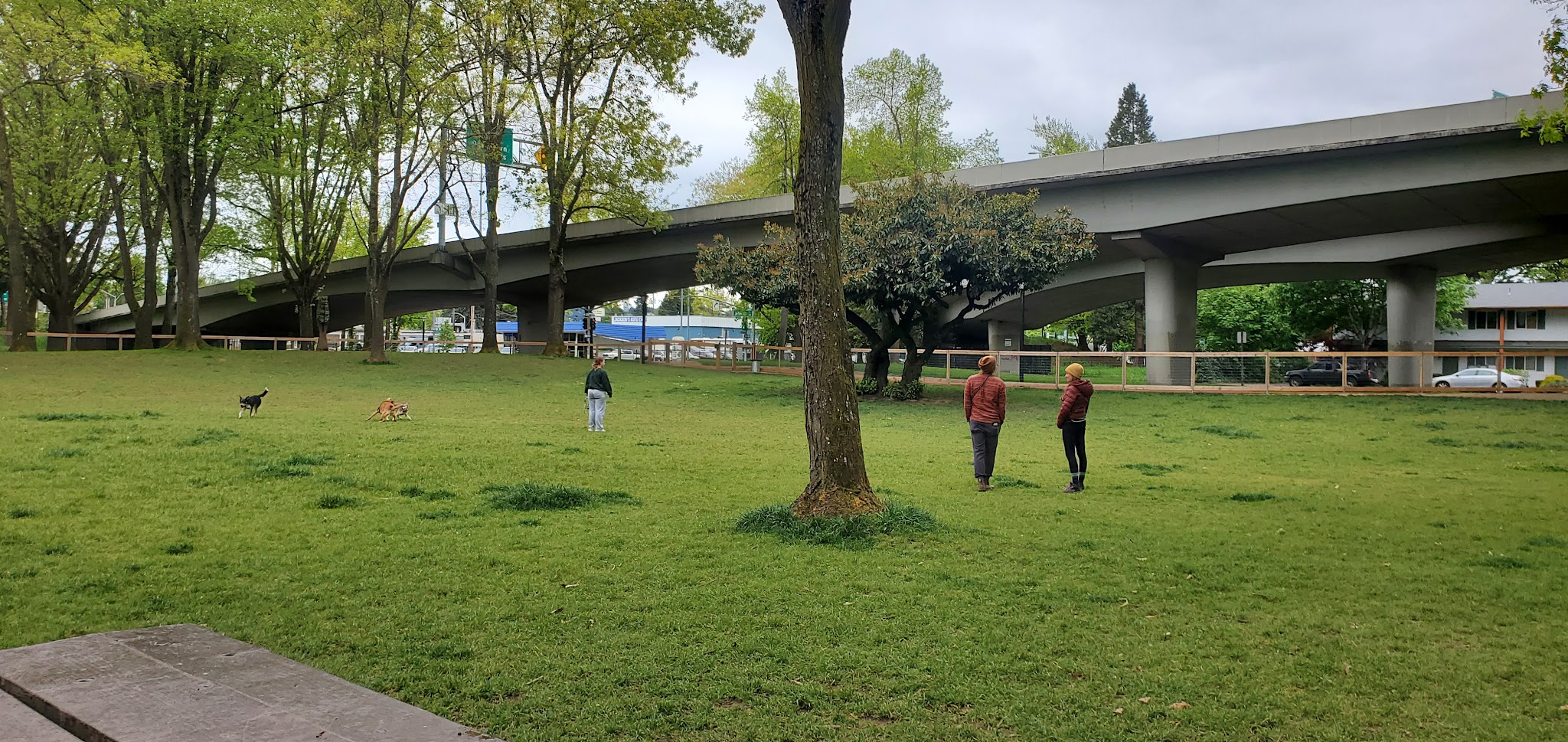 Washington Jefferson Dog Park - Eugene, OR