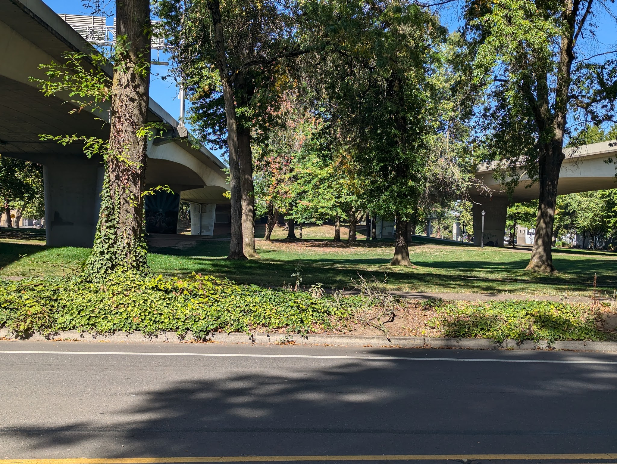 Washington Jefferson Dog Park - Eugene, OR