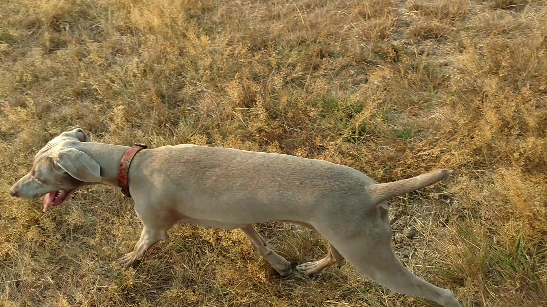 Wayne Morse Family Farm - Eugene, OR