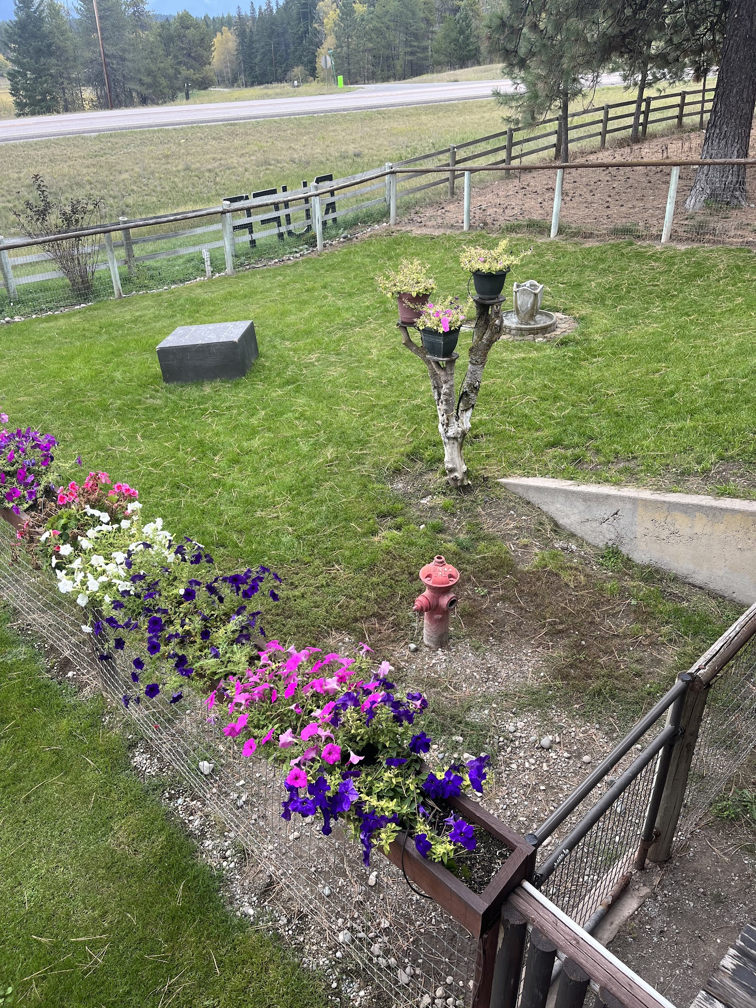 A Diamond in the RUFF - Eureka, MT