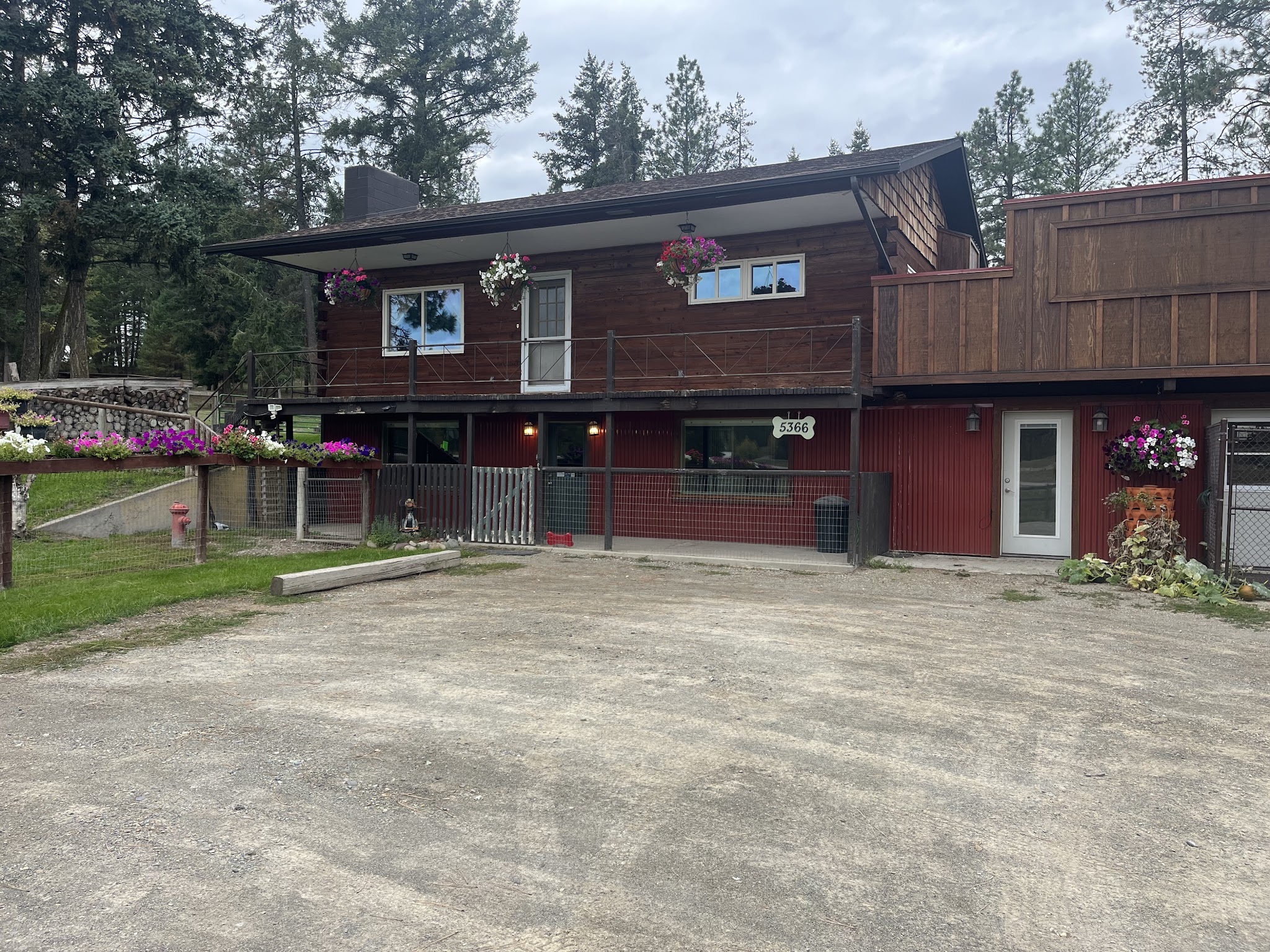 A Diamond in the RUFF - Eureka, MT