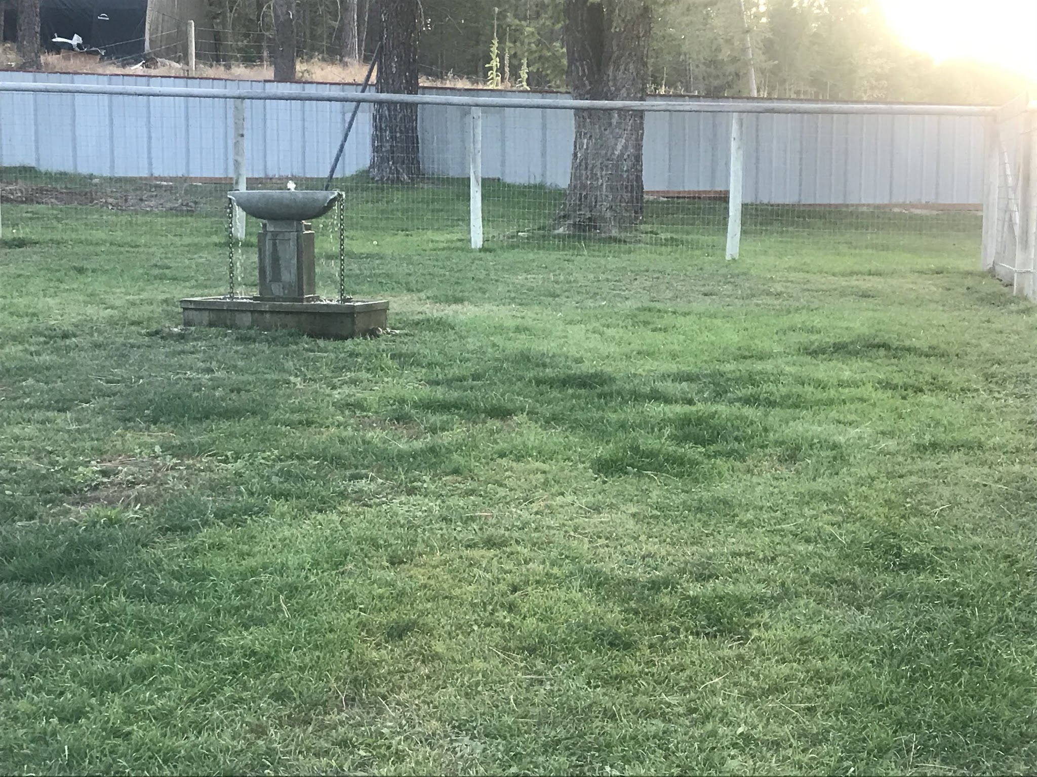 A Diamond in the RUFF - Eureka, MT