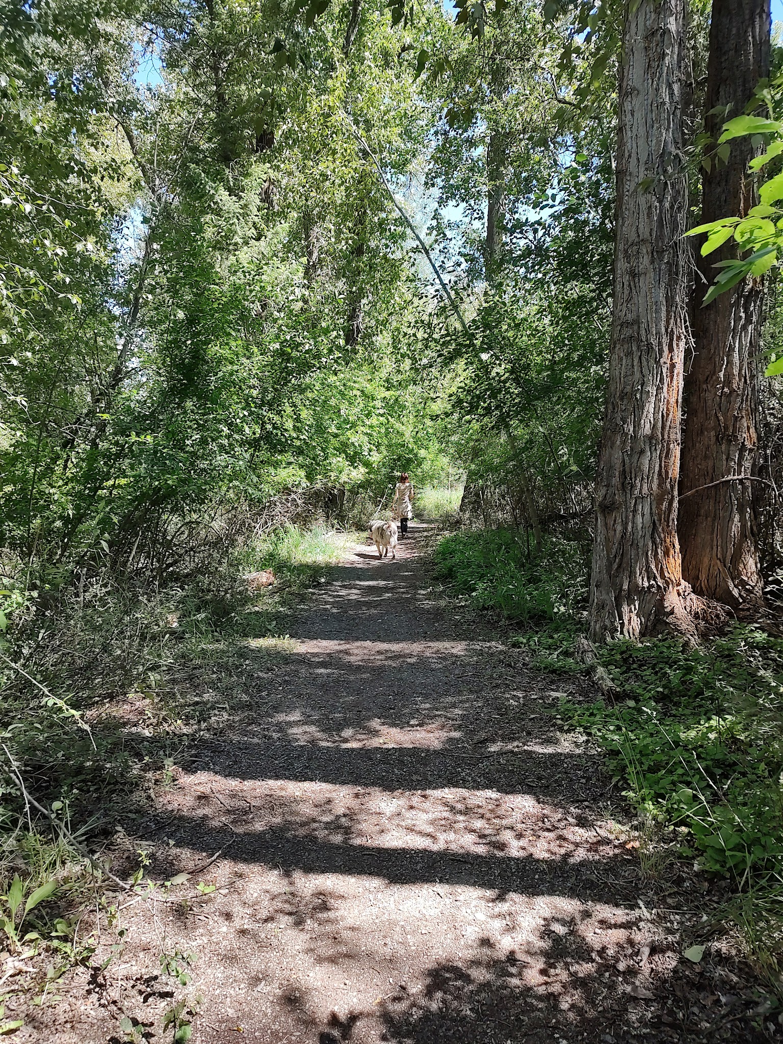Riverside Park - Eureka, MT