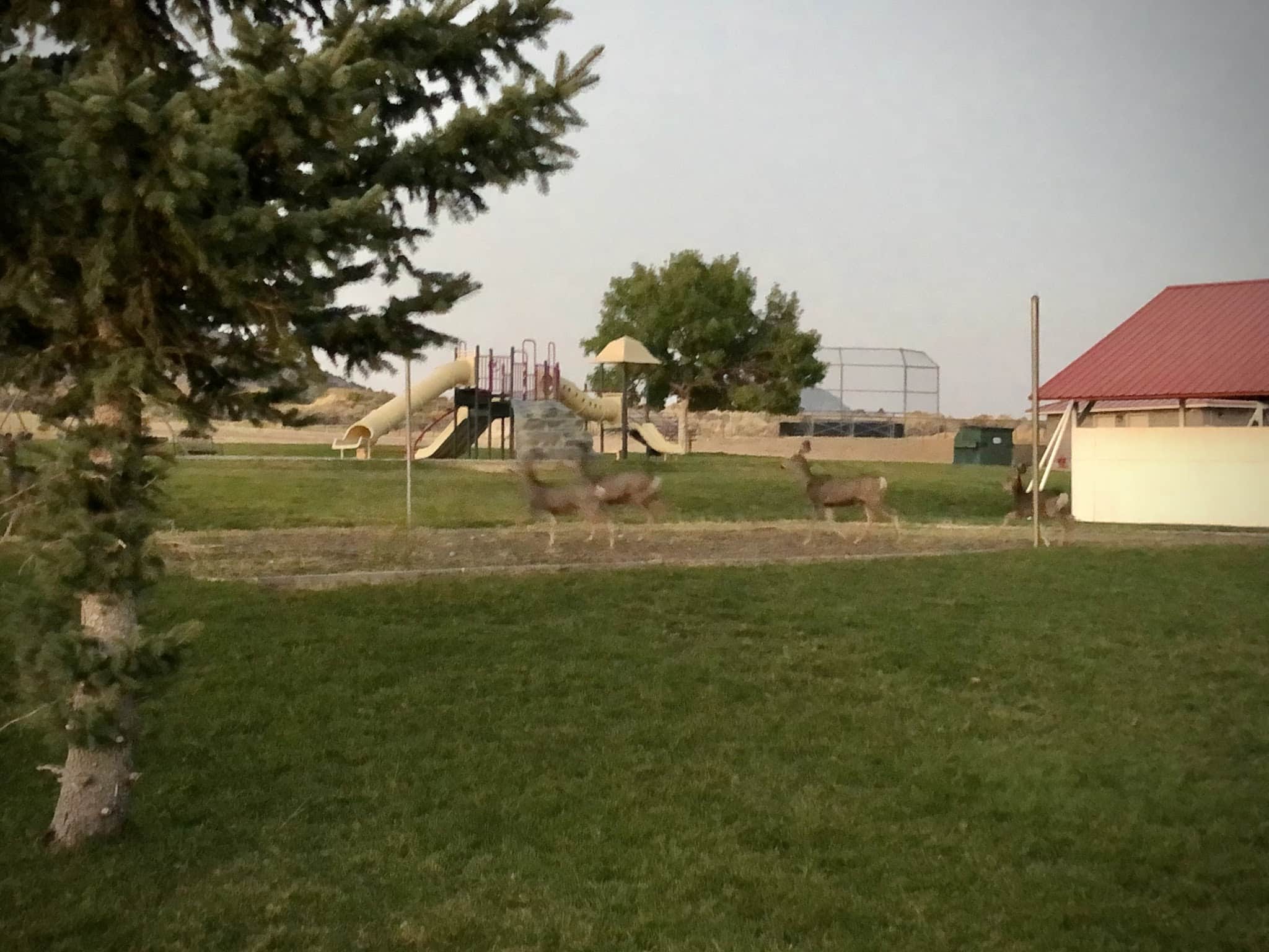 Eureka City Park - Eureka, UT