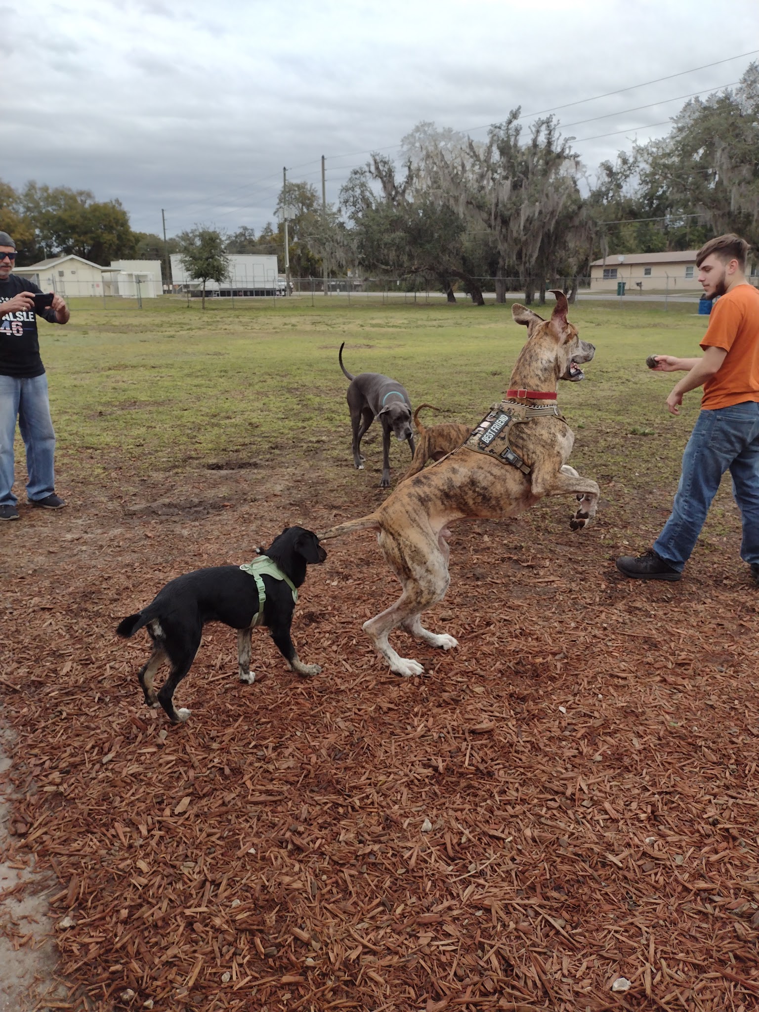 Carla Gnann-Thompson Memorial Dog Park - Eustis, FL