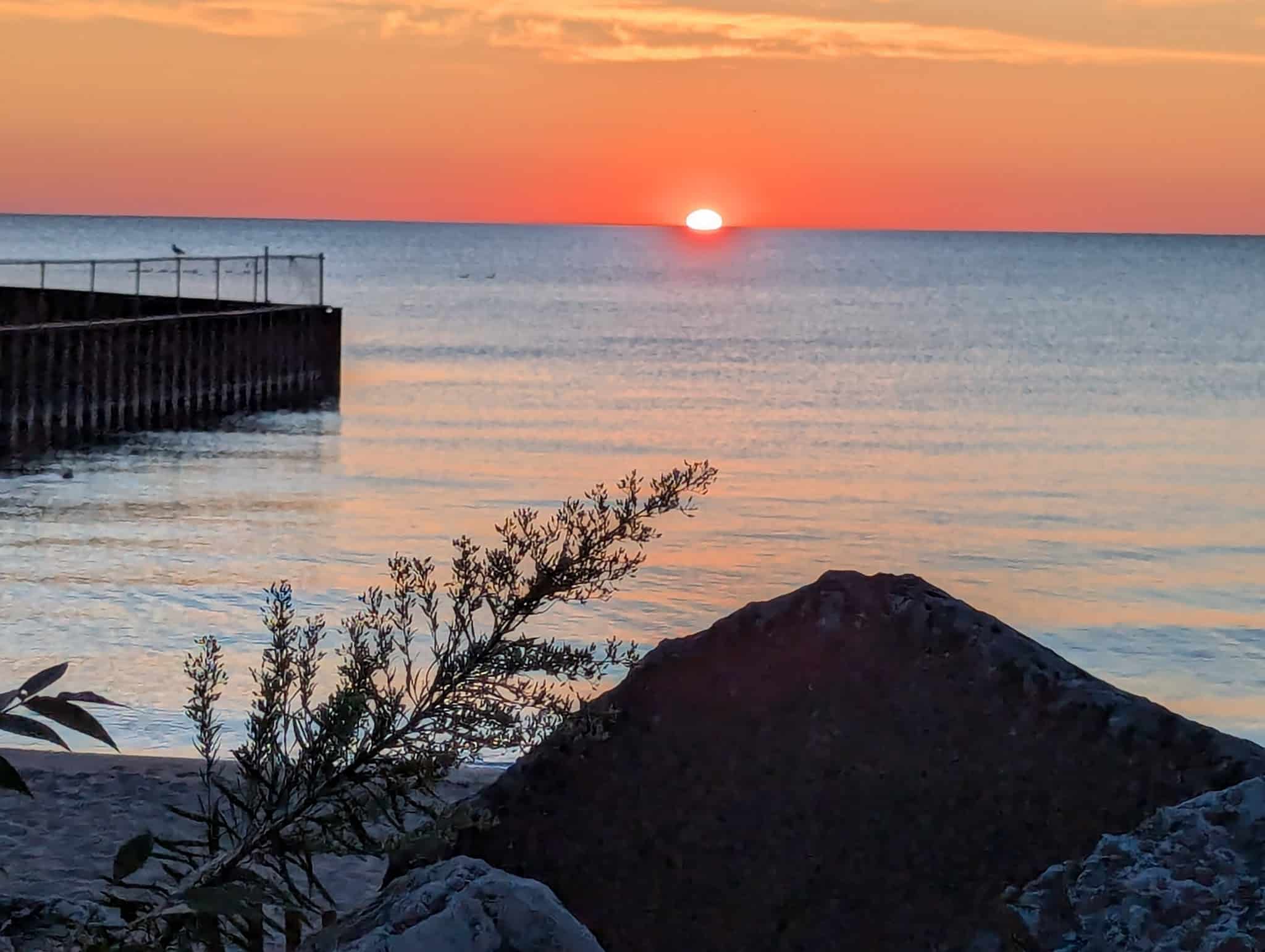 Dog Beach - Evanston, IL