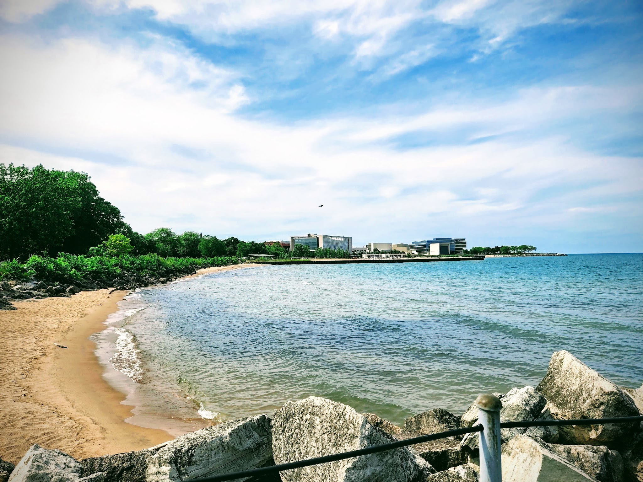 Dog Beach - Evanston, IL