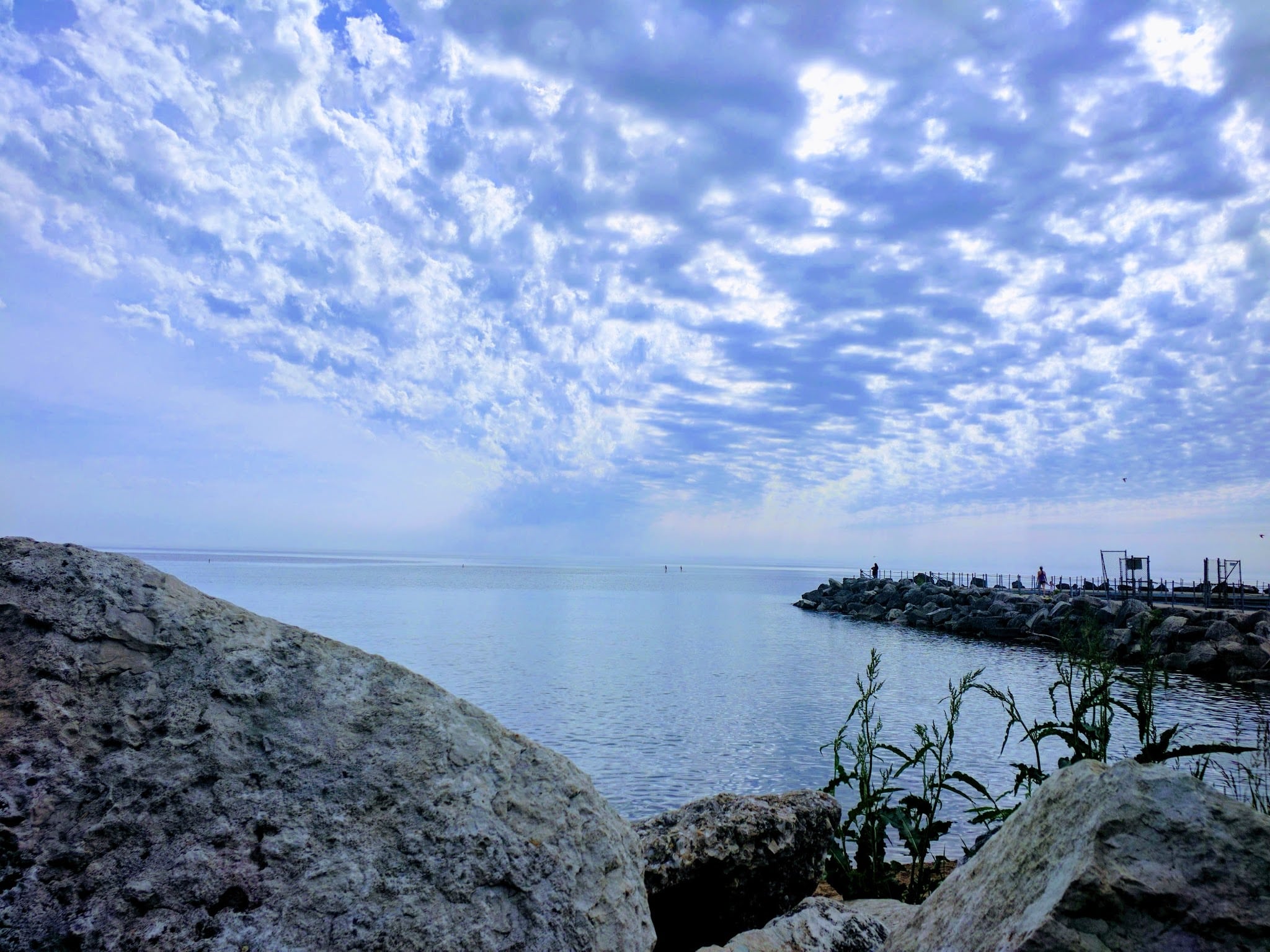 Dog Beach - Evanston, IL