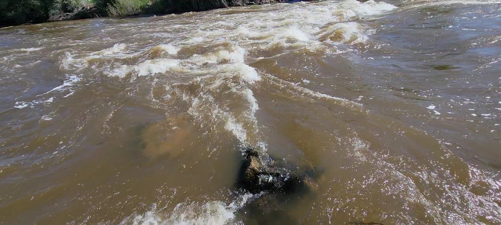 Bear River Pond - Evanston, WY