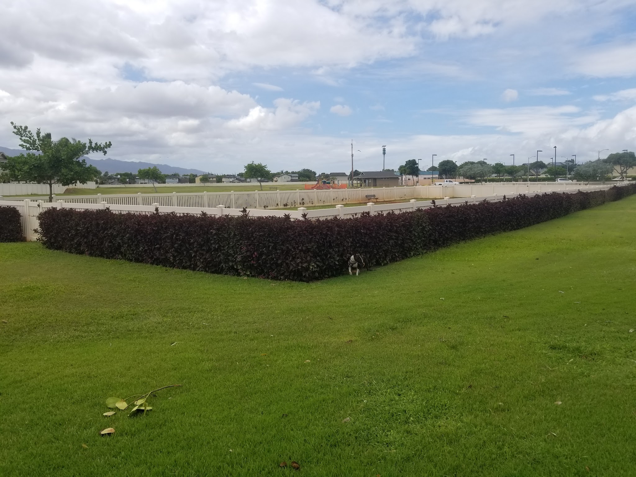 Hoalauna Dog Park - Ewa Beach, HI