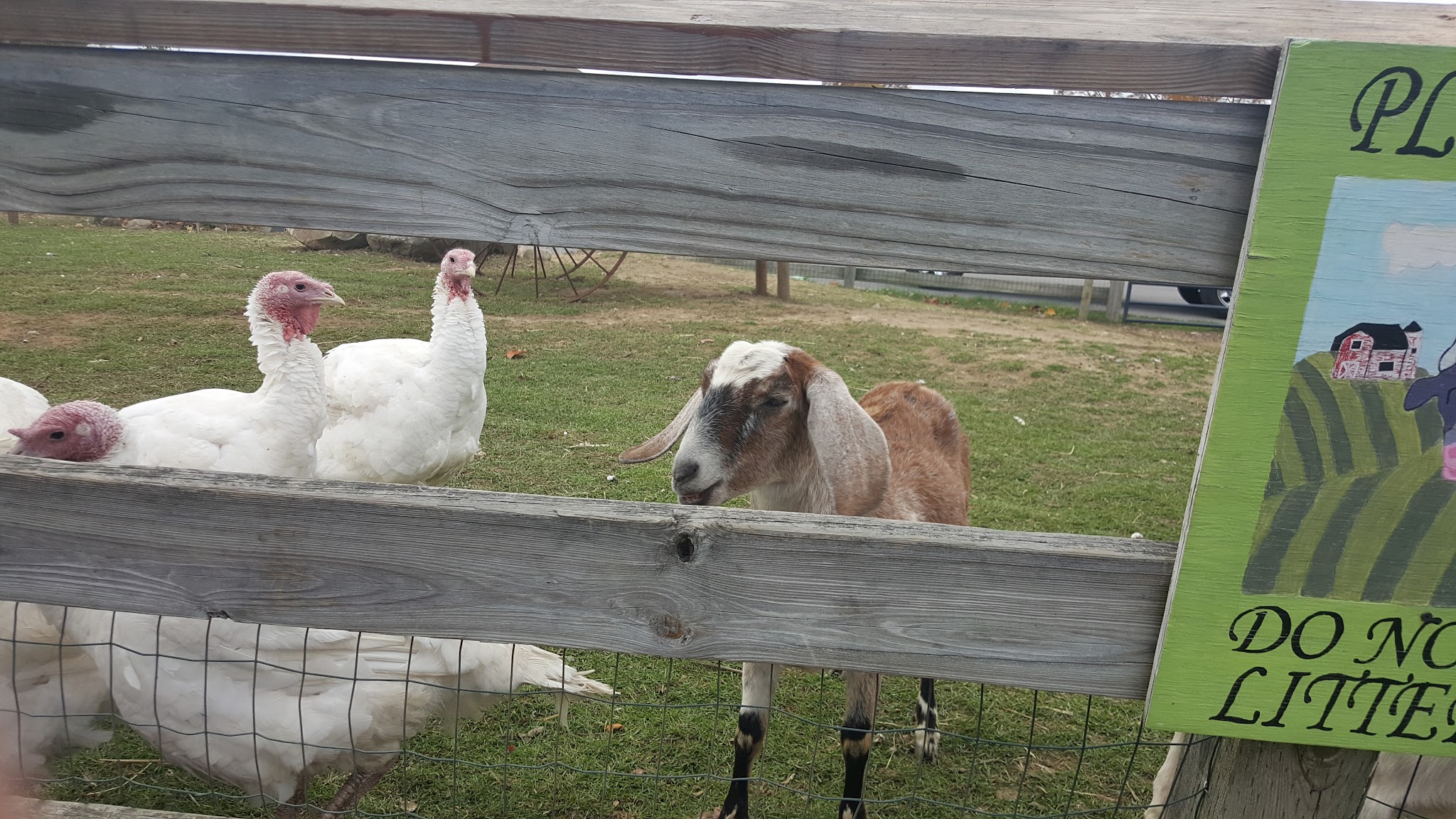 Exeter Town Recreation Department - Exeter, NH