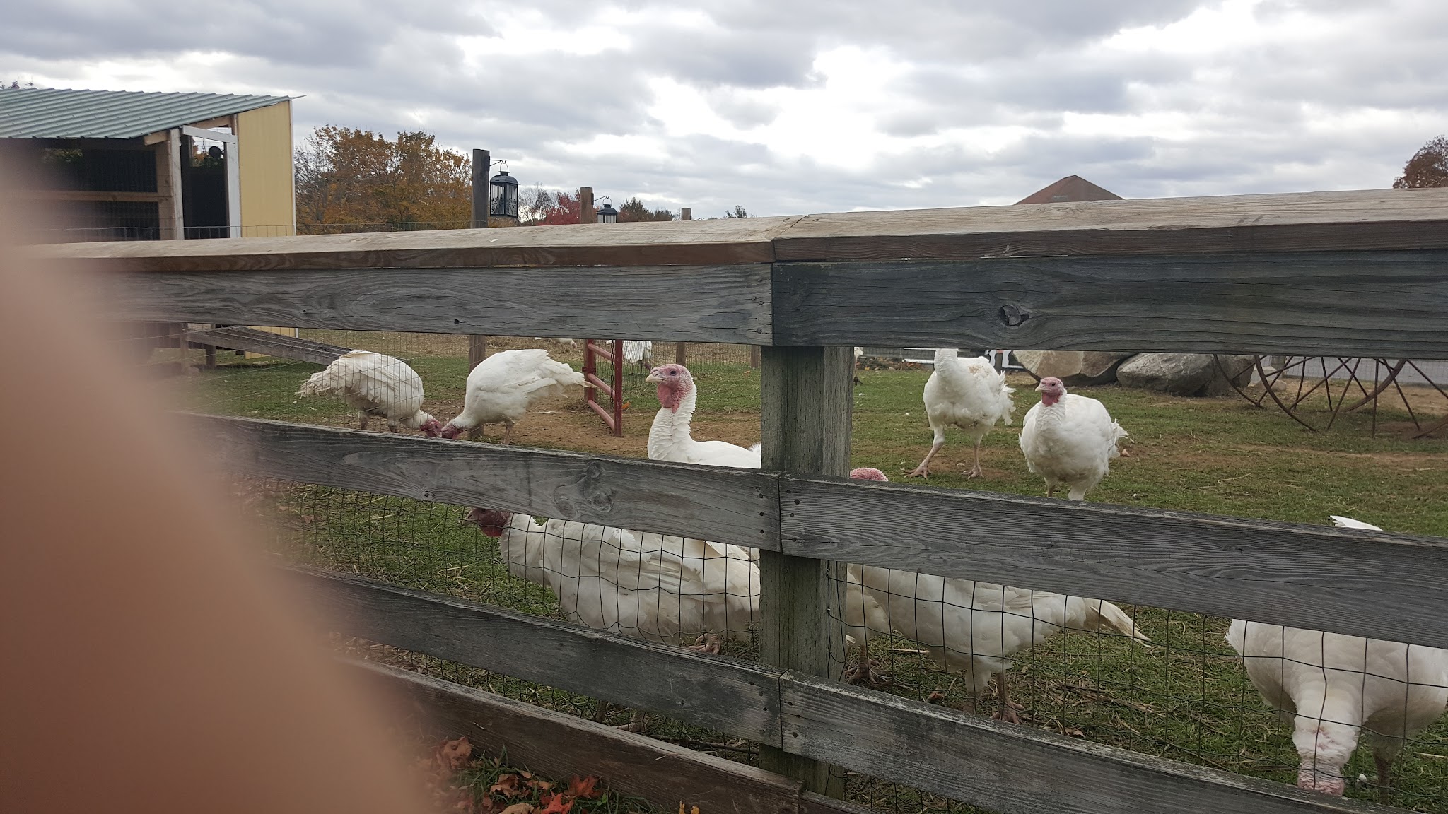 Exeter Town Recreation Department - Exeter, NH