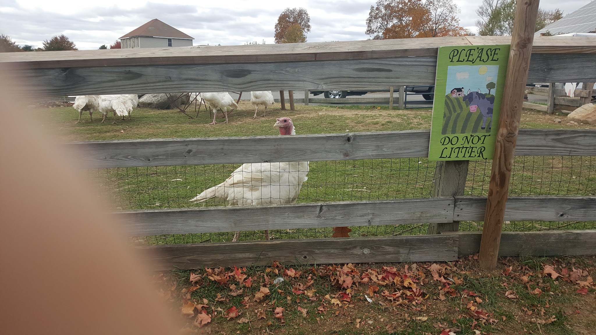 Exeter Town Recreation Department - Exeter, NH