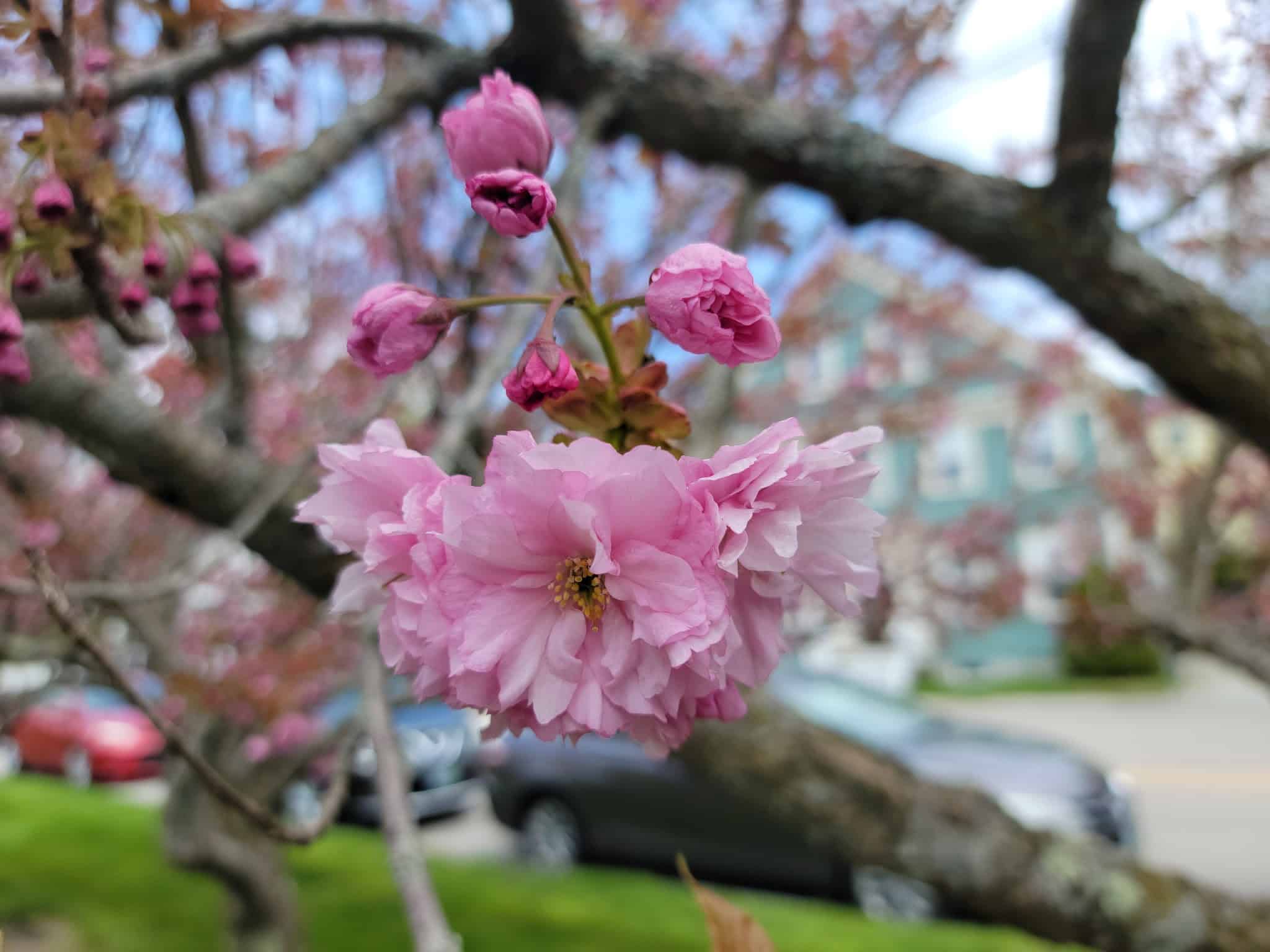 Founders Park - Exeter, NH