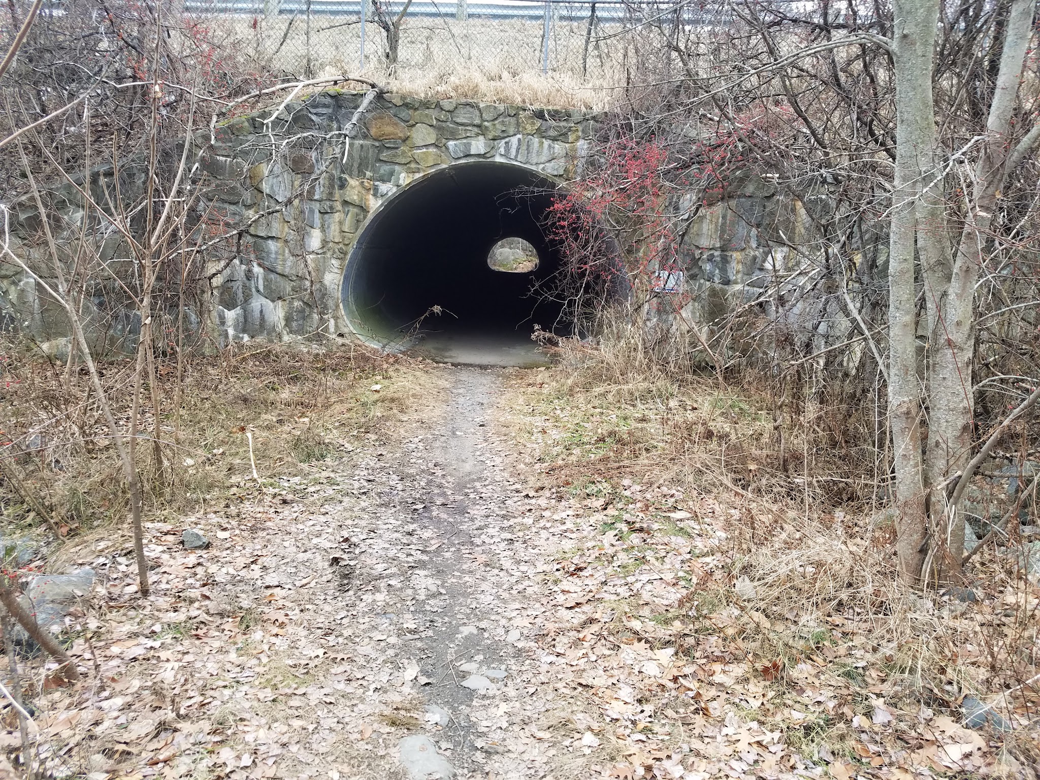Henderson-Swasey Town Forest - Exeter, NH