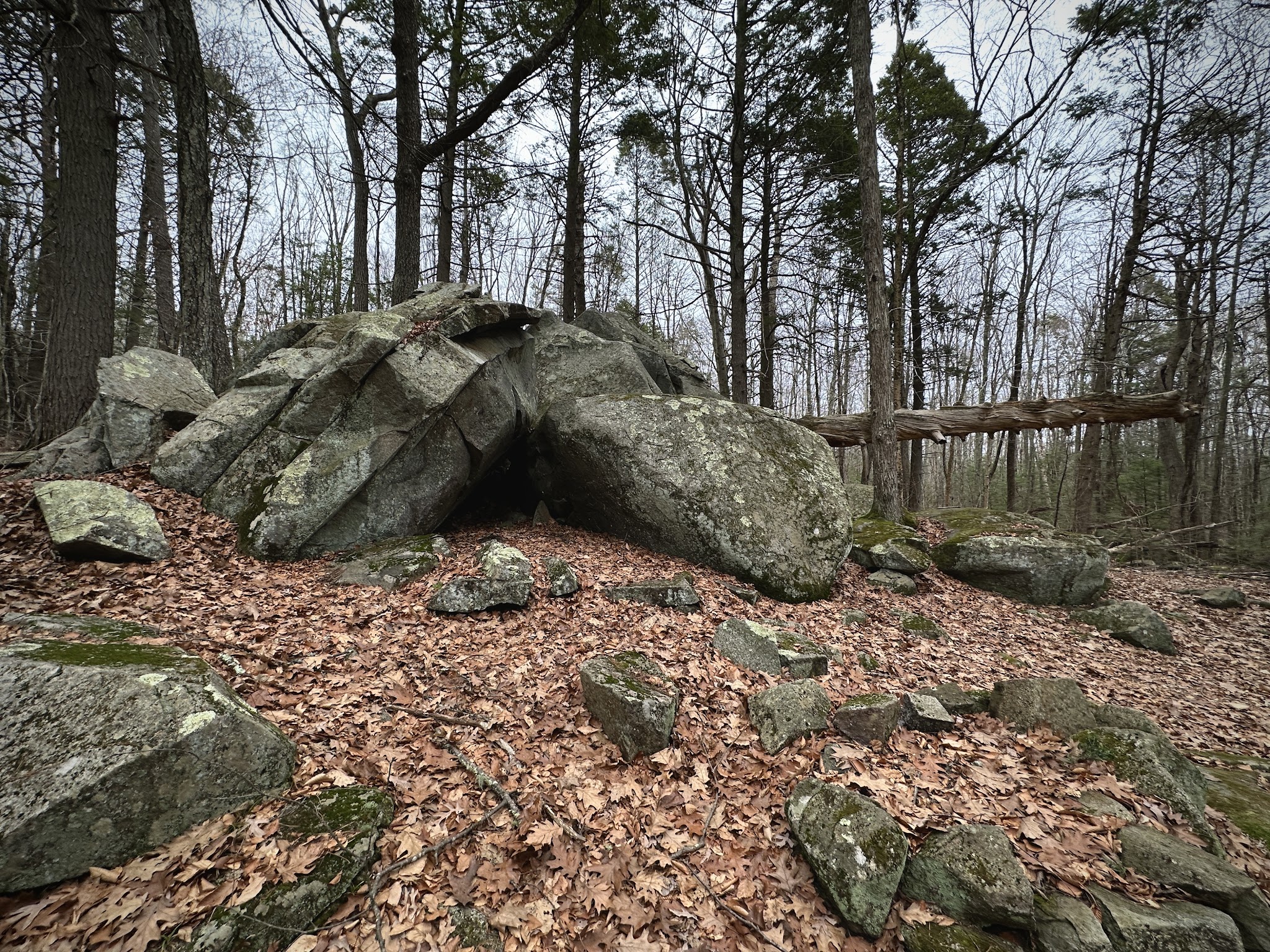 Henderson-Swasey Town Forest - Exeter, NH