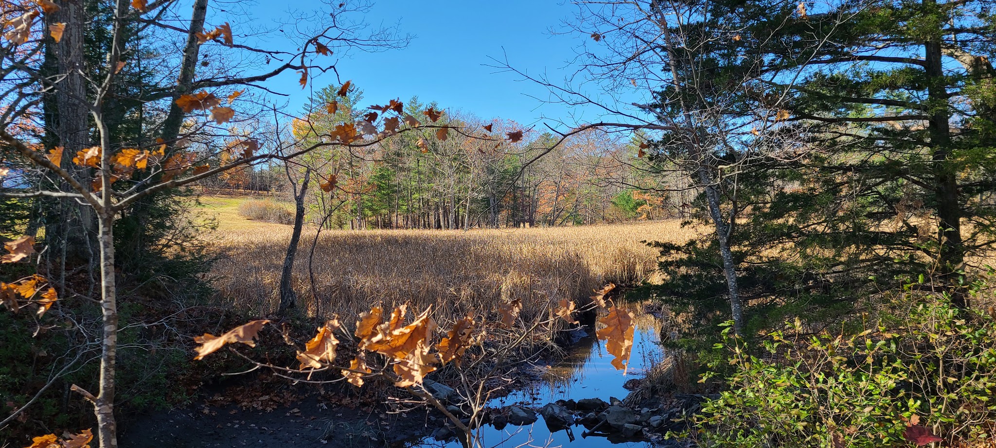 Raynes Farm Trails Parking - Exeter, NH