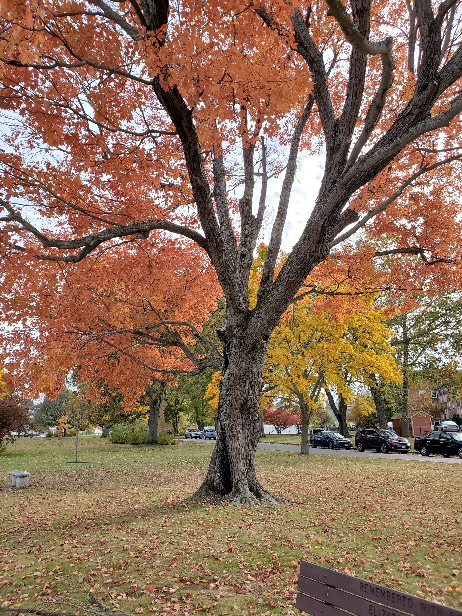 Swasey Parkway - Exeter, NH