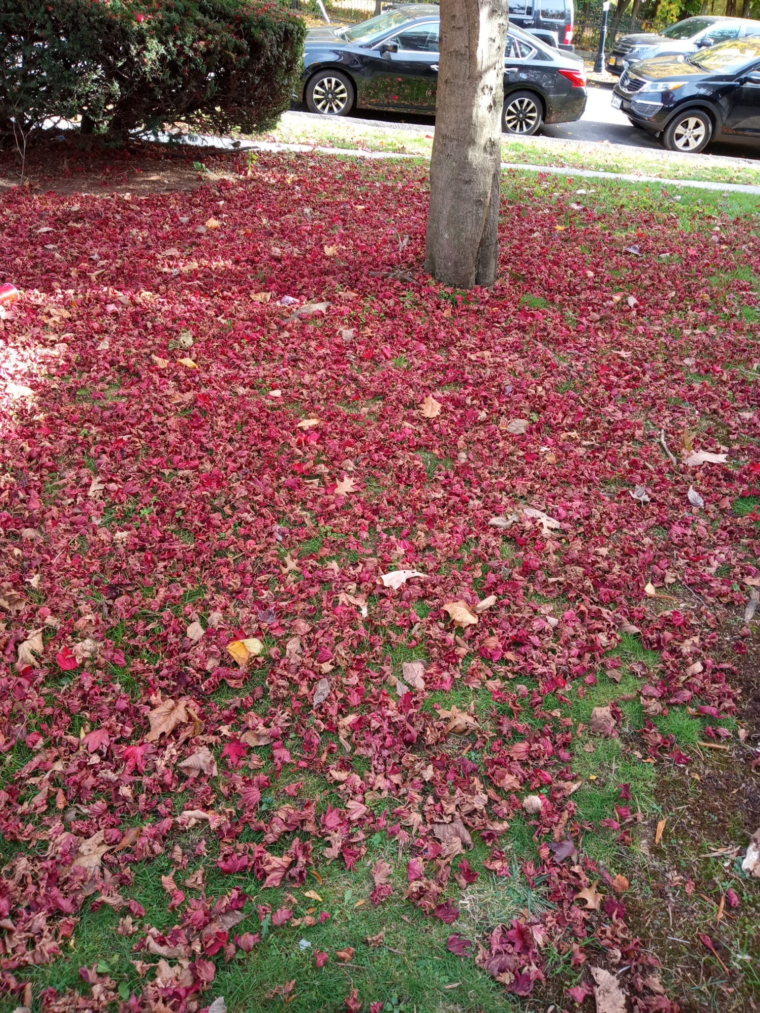 Harry Sugarman Memorial Playground - Eynon, PA