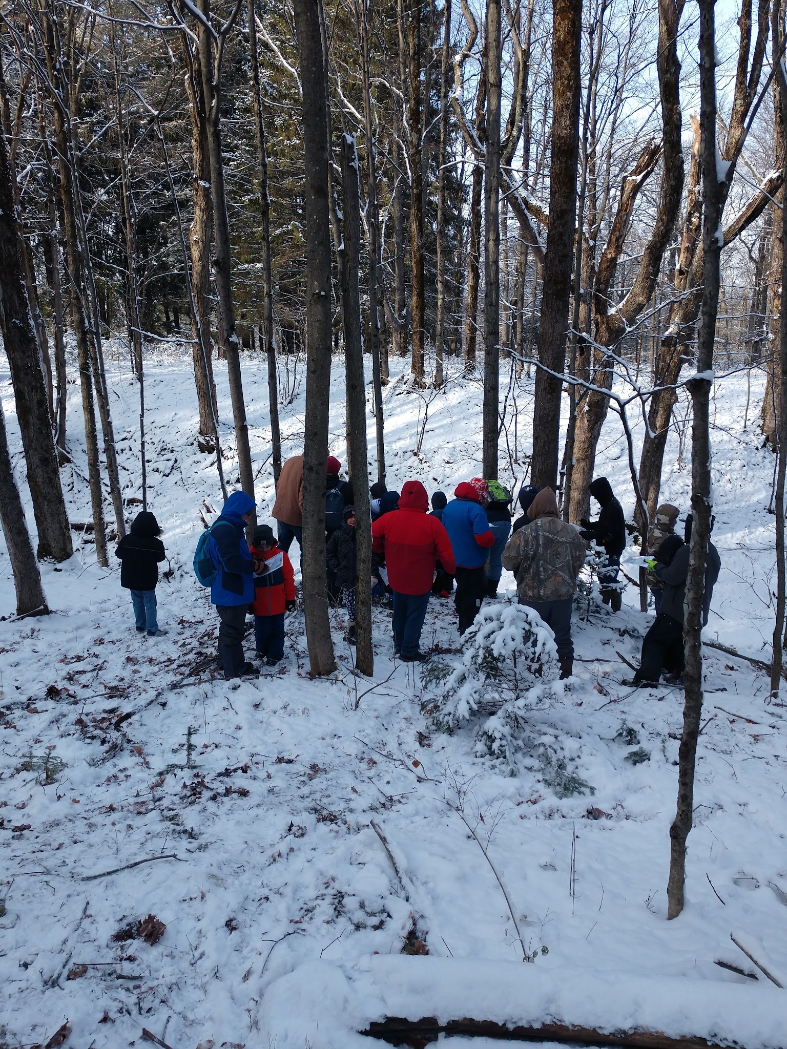 Highland Forest Skyline Lodge - Fabius, NY