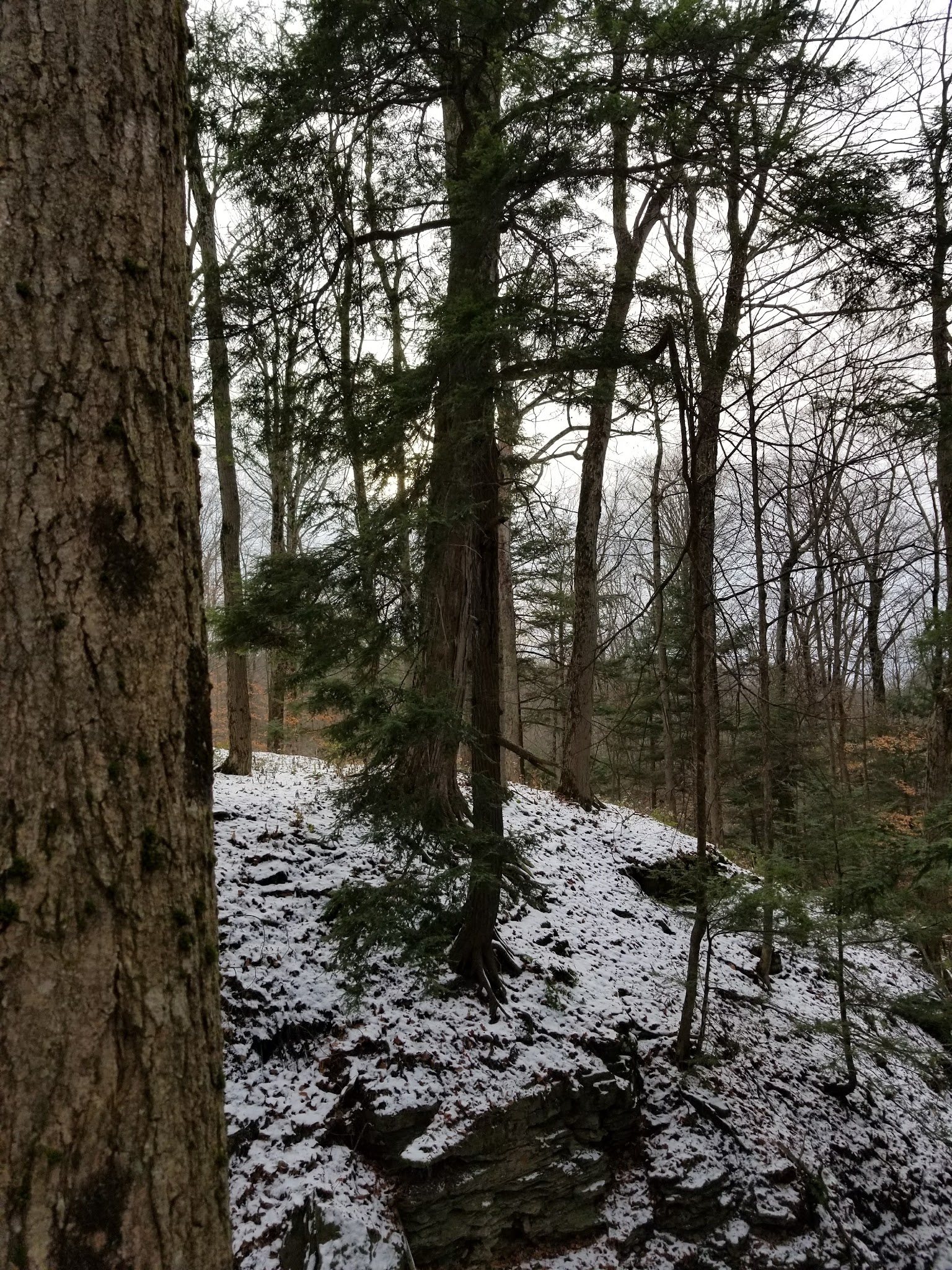 Highland Forest Skyline Lodge - Fabius, NY