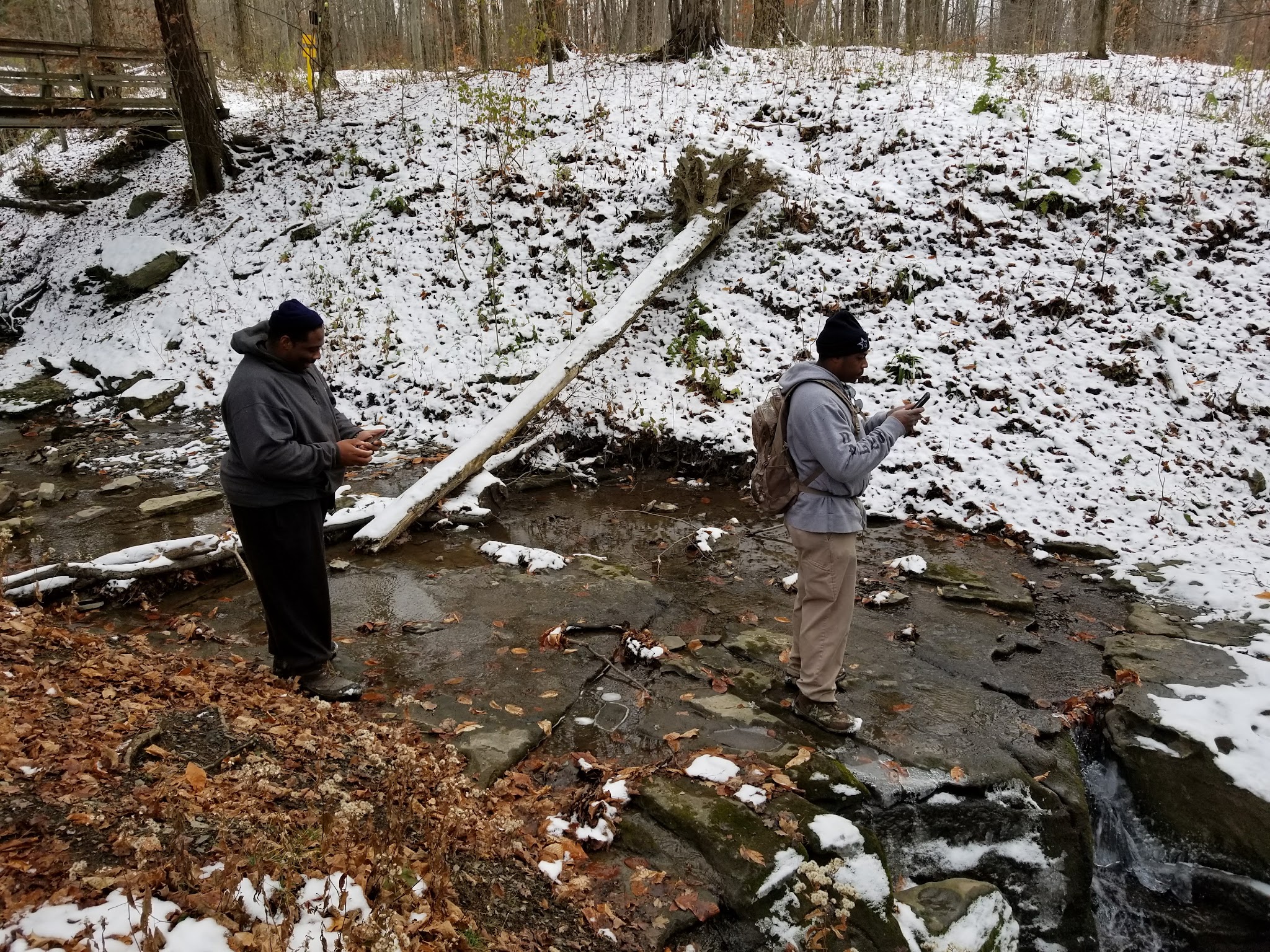 Highland Forest Skyline Lodge - Fabius, NY