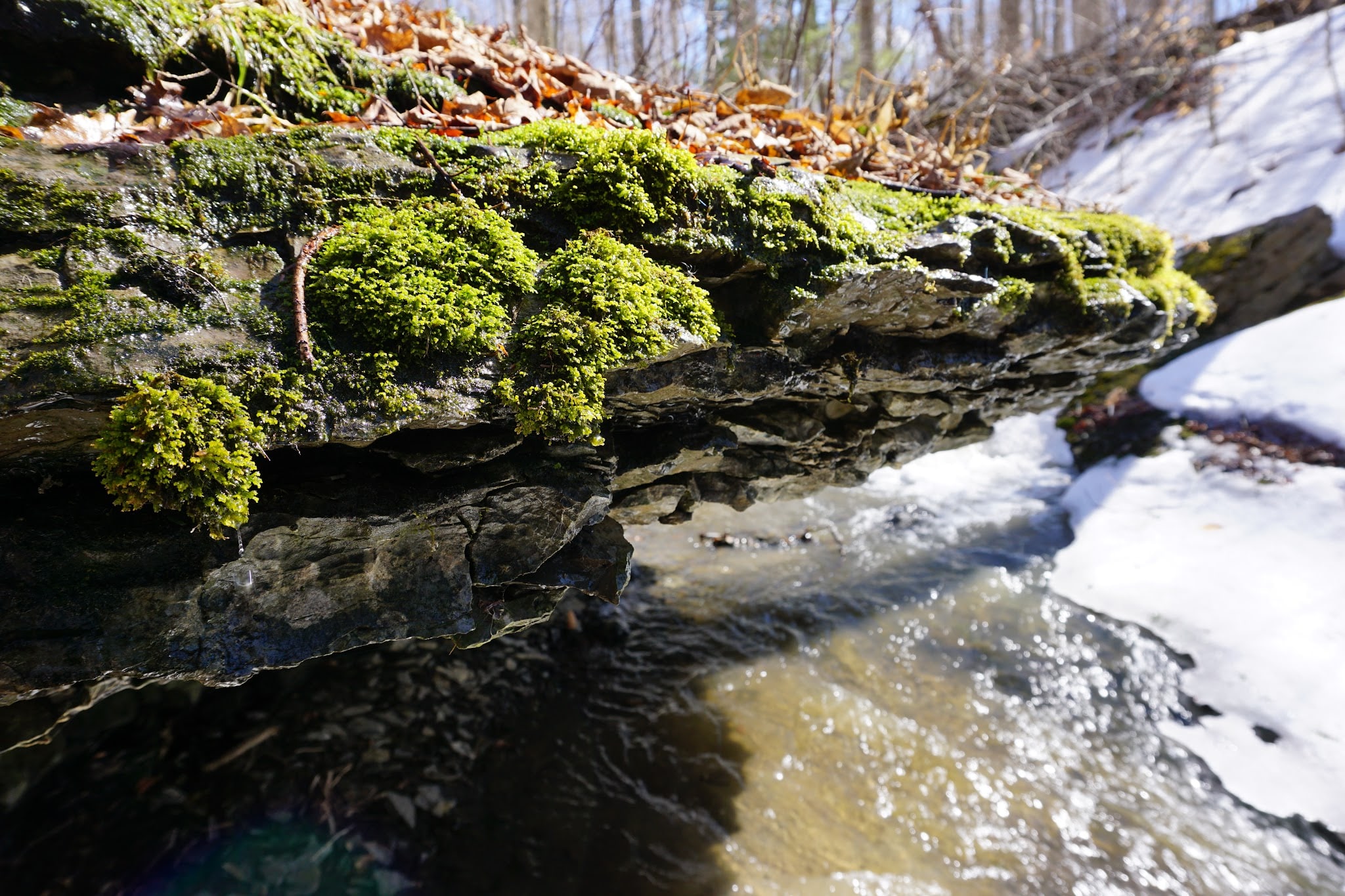 Highland Forest Skyline Lodge - Fabius, NY