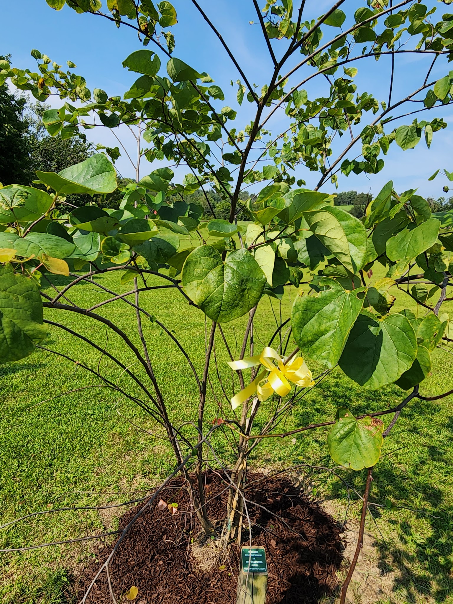 Creekside Park - Factoryville, PA