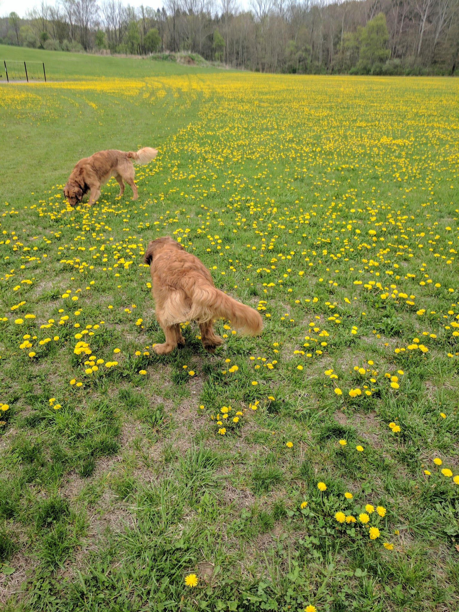 Creekside Park - Factoryville, PA