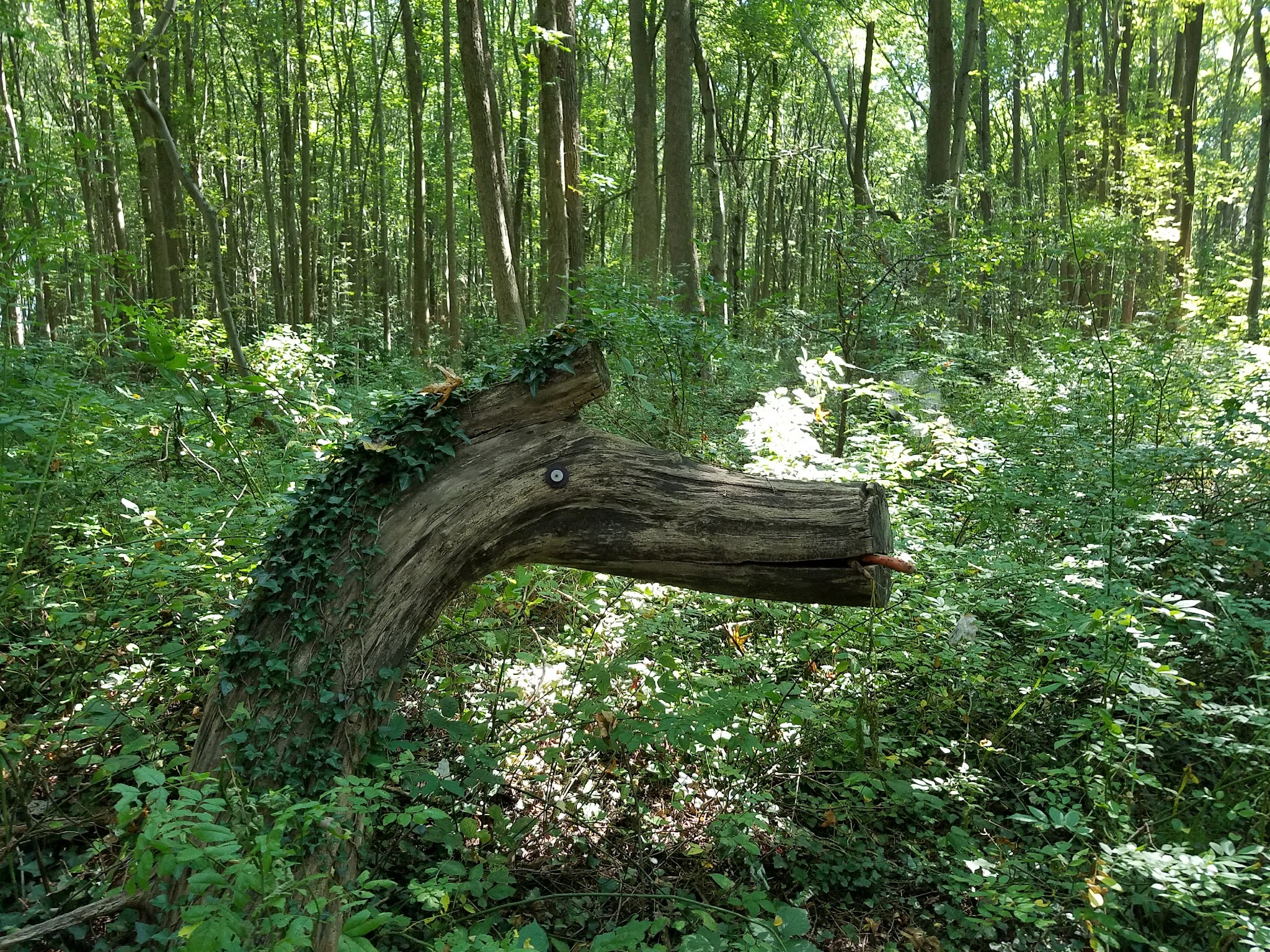 Fair Haven Fields Natural Area - Fair Haven, NJ