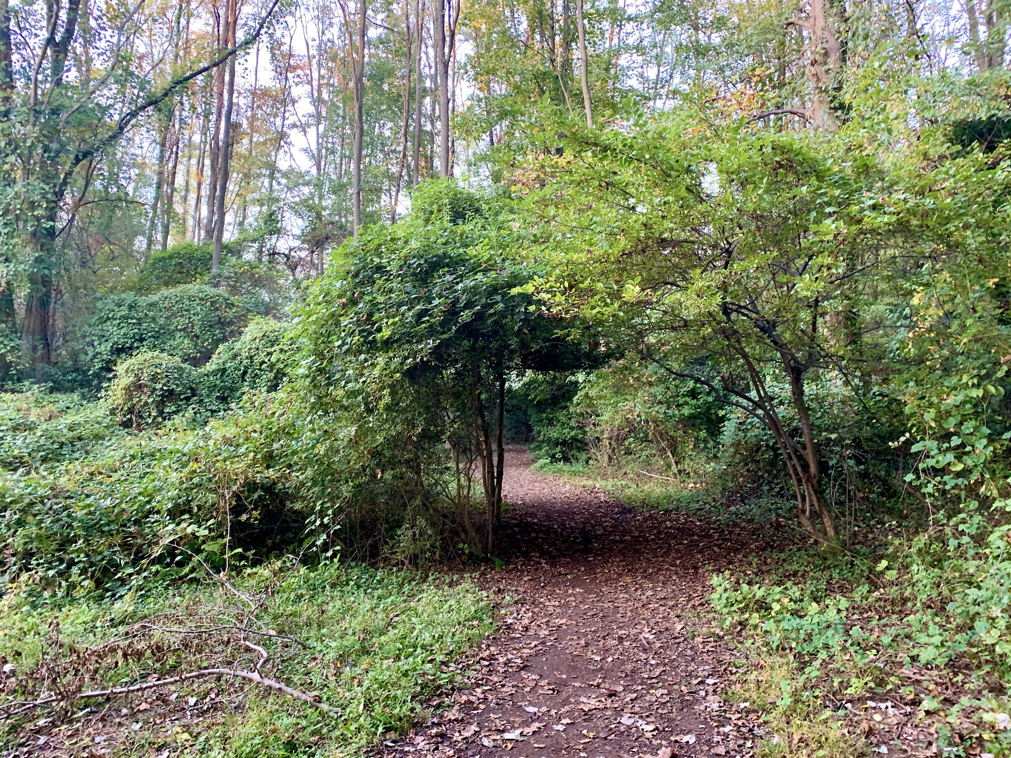 Fair Haven Fields Natural Area - Fair Haven, NJ