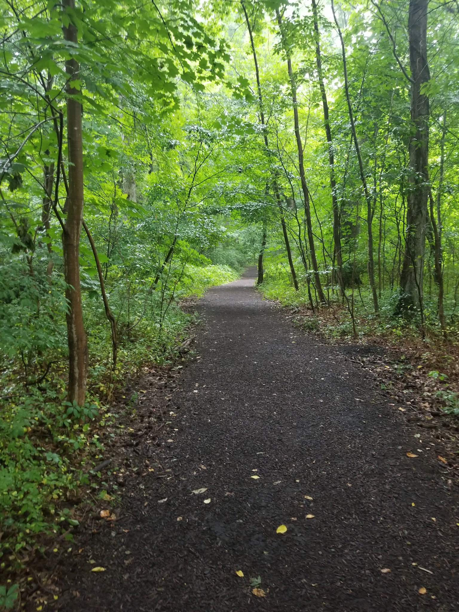 Fair Haven Fields Natural Area - Fair Haven, NJ