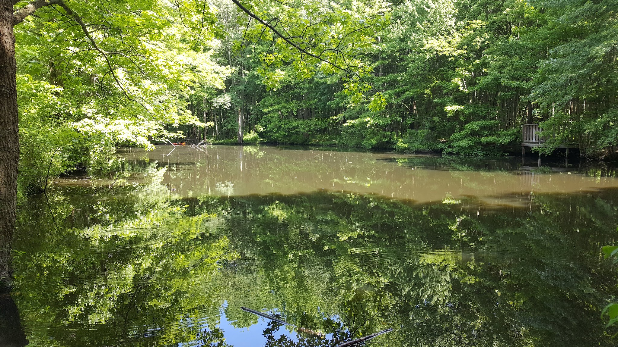 Fair Haven Fields Natural Area - Fair Haven, NJ