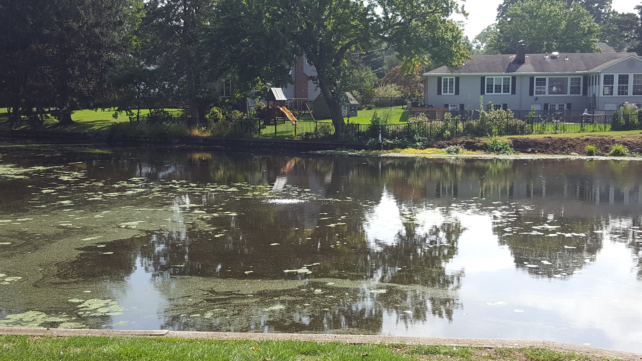 McCarter Pond - Fair Haven, NJ