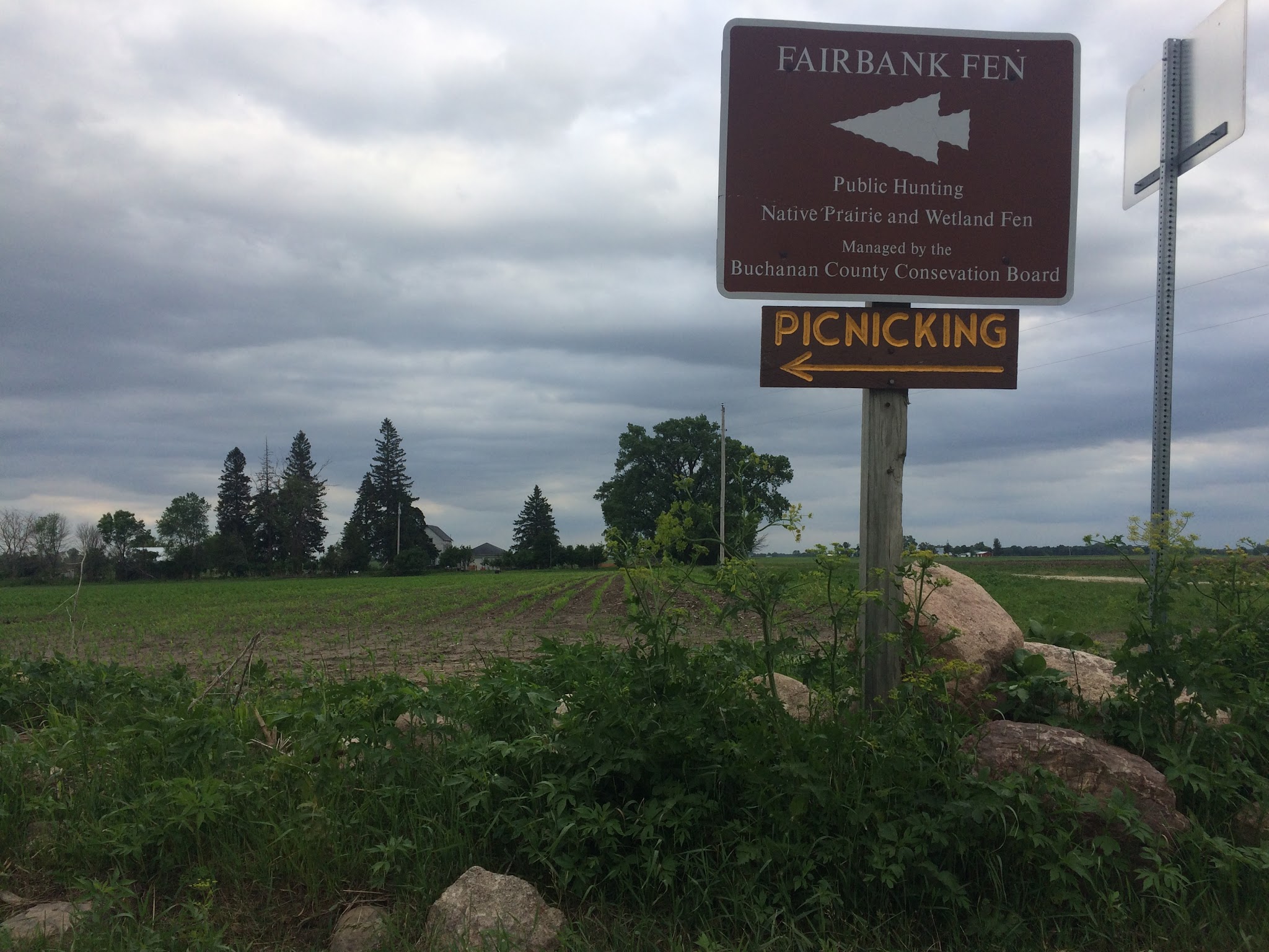 Fairbank Fen - Fairbank, IA