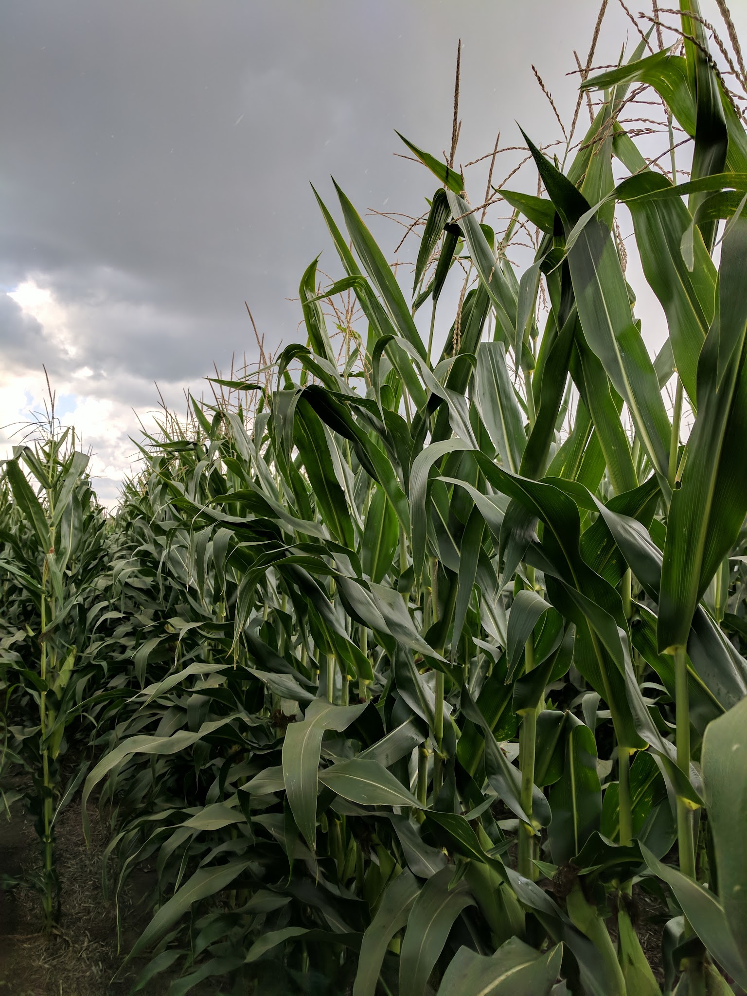 Hawks Ridge Park - Fairfax, IA
