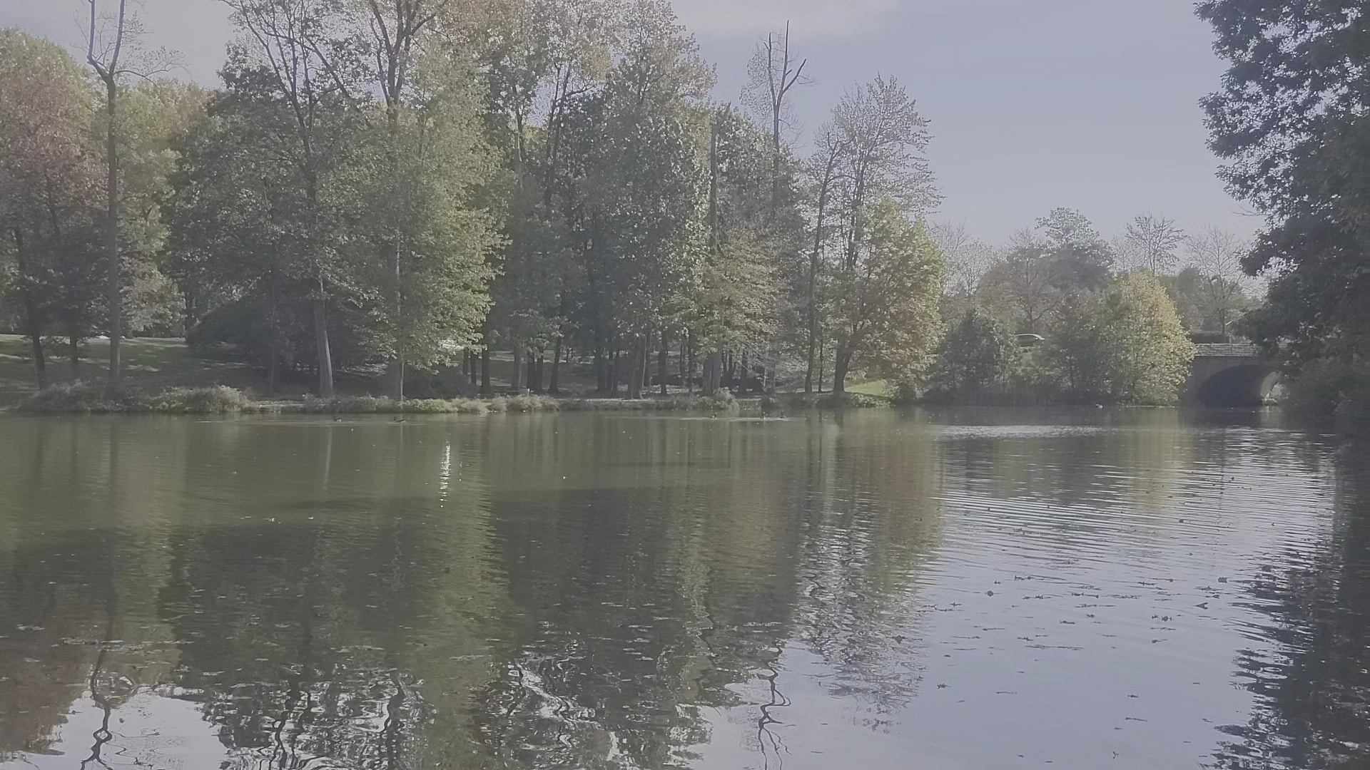 Fairlakes Private Lake - Fairfax, VA