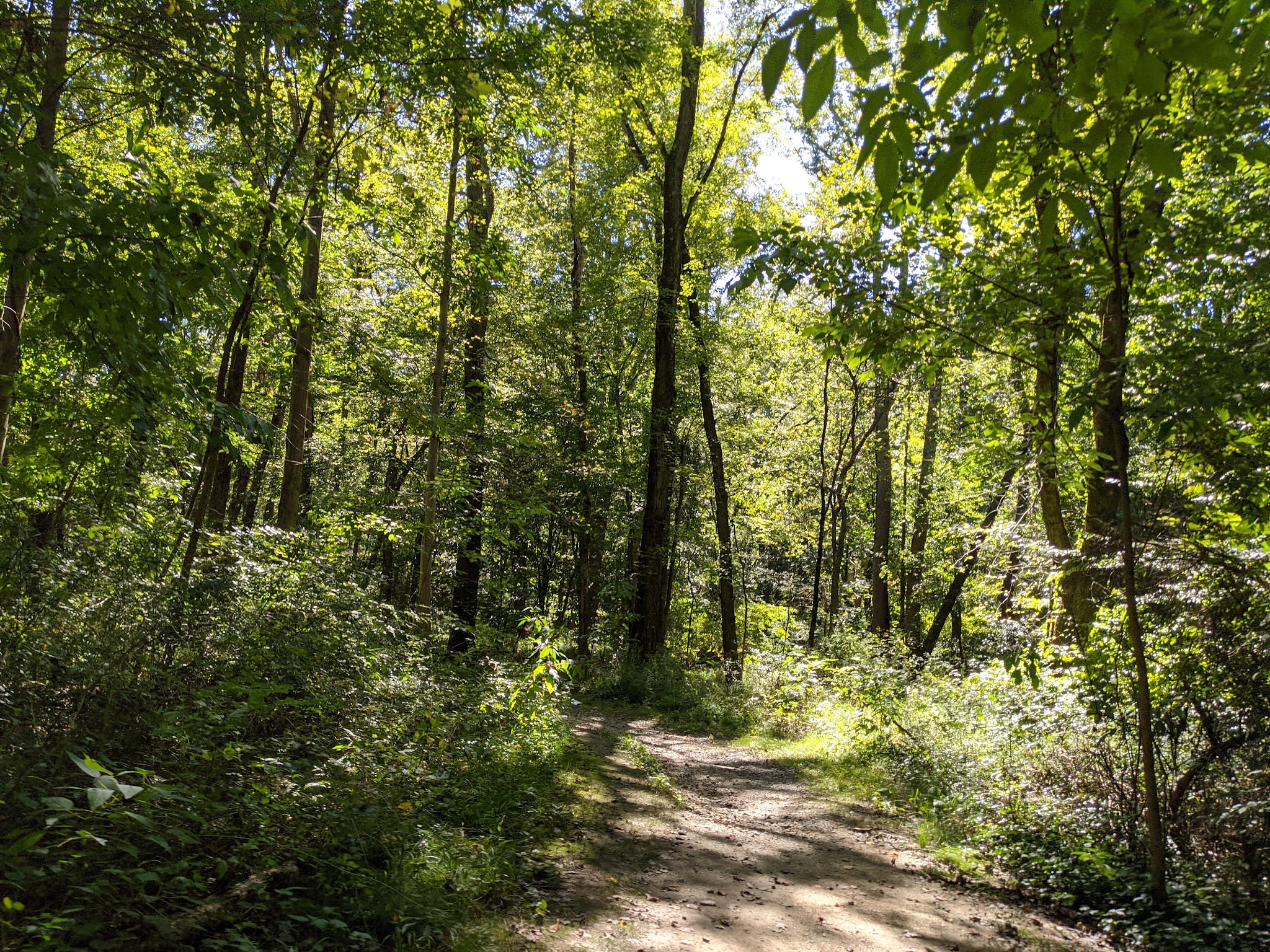 Rutherford Park - Fairfax, VA