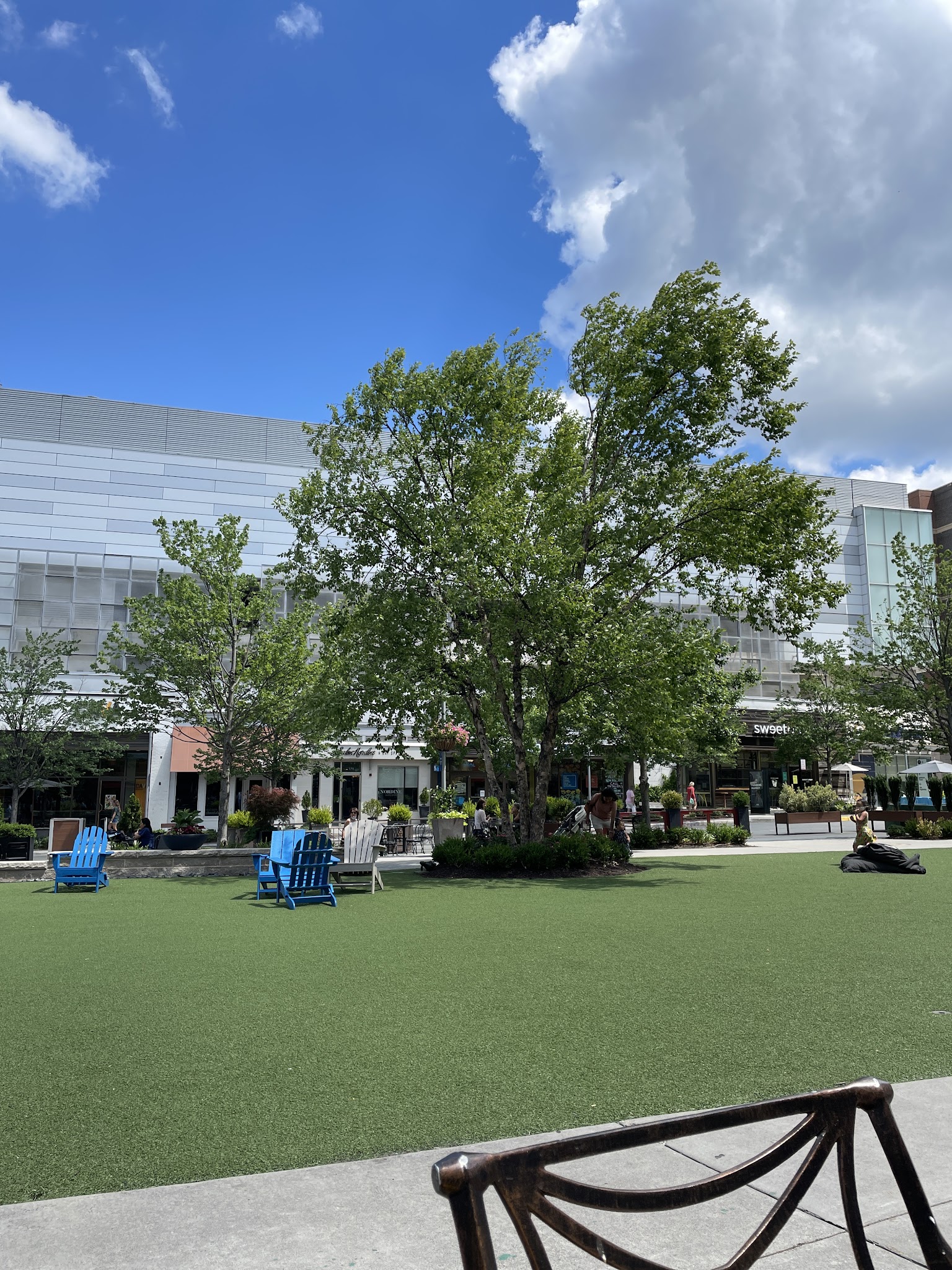 Strawberry Park - Fairfax, VA