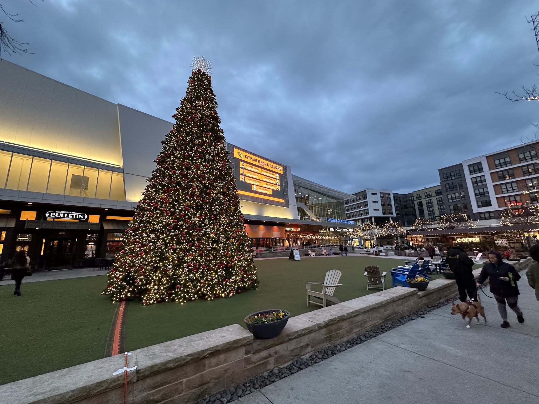 Strawberry Park - Fairfax, VA