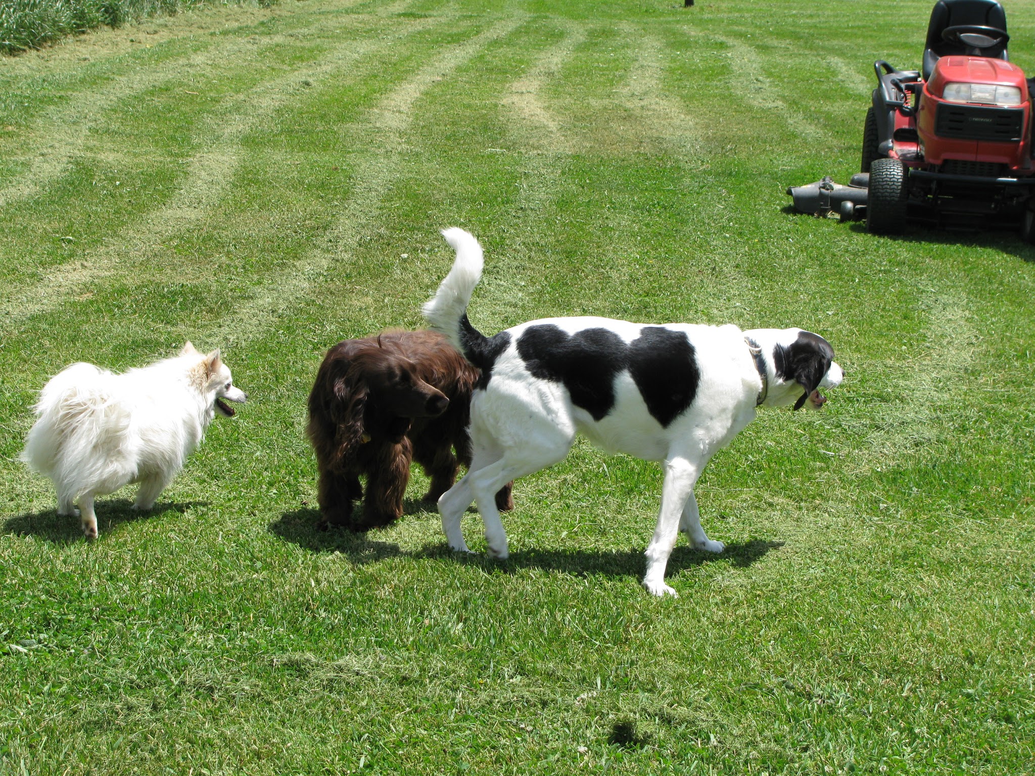 Wellspring Farm LTD - Fairfield, VA