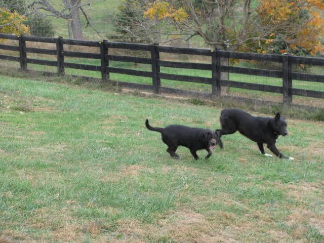 Wellspring Farm LTD - Fairfield, VA