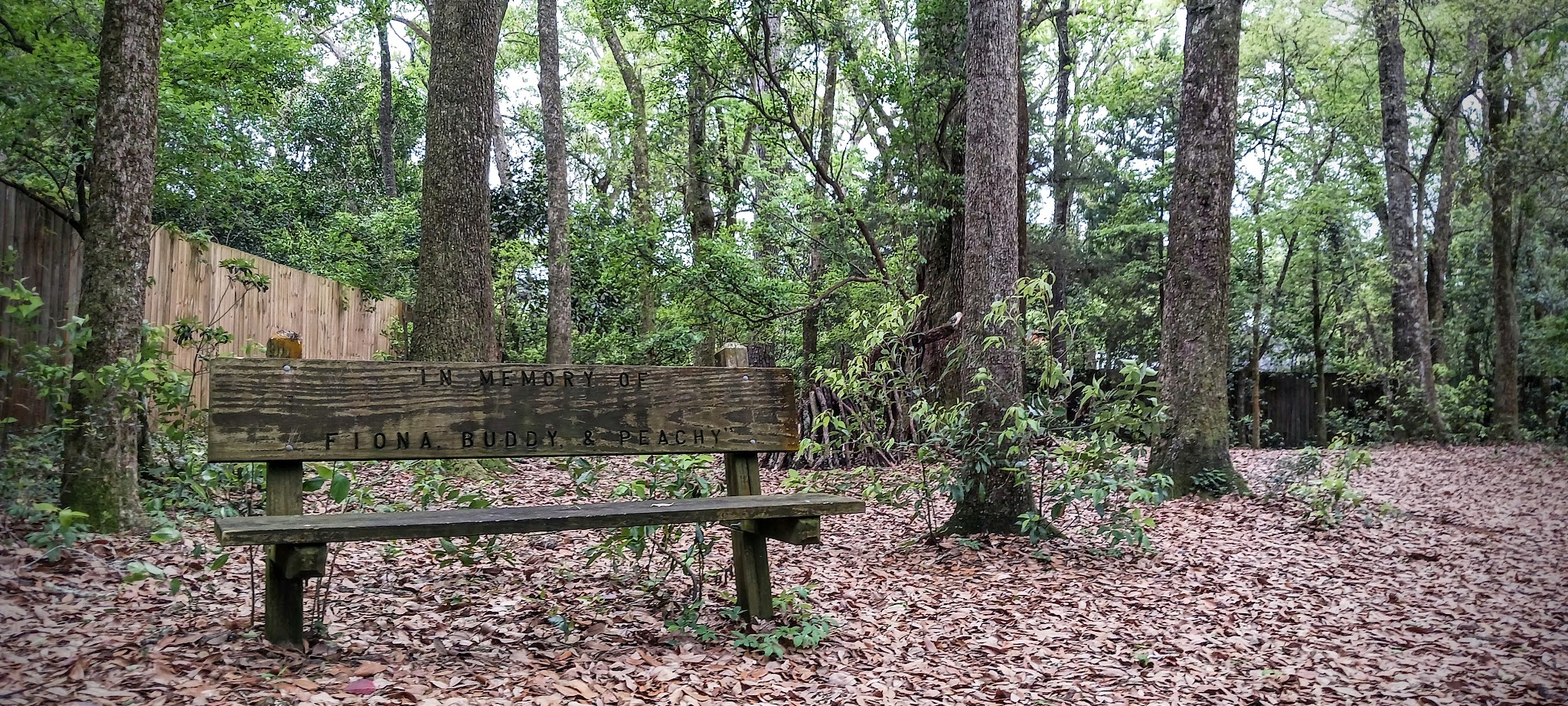 Fairhope Dog Park - Fairhope, AL