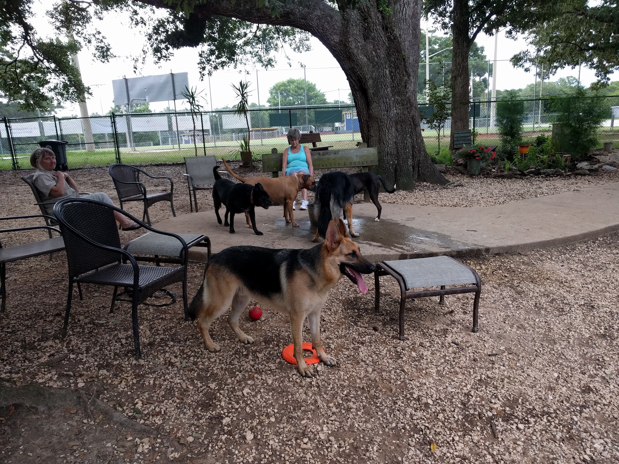 Fairhope Dog Park - Fairhope, AL