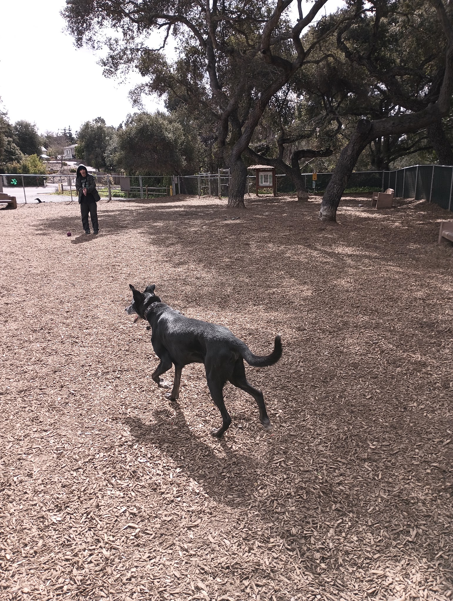Fallbrook Dog Park - Fallbrook, CA