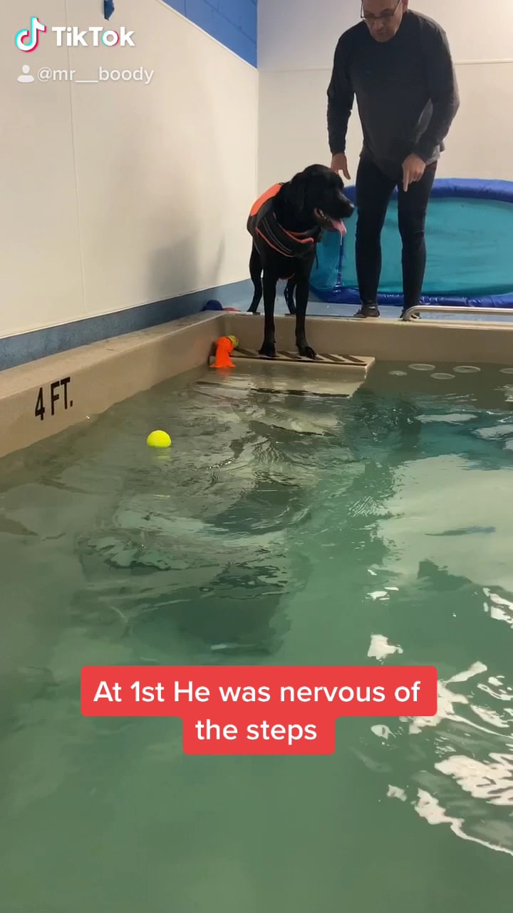 Aquatic Paws - Falls Church, VA