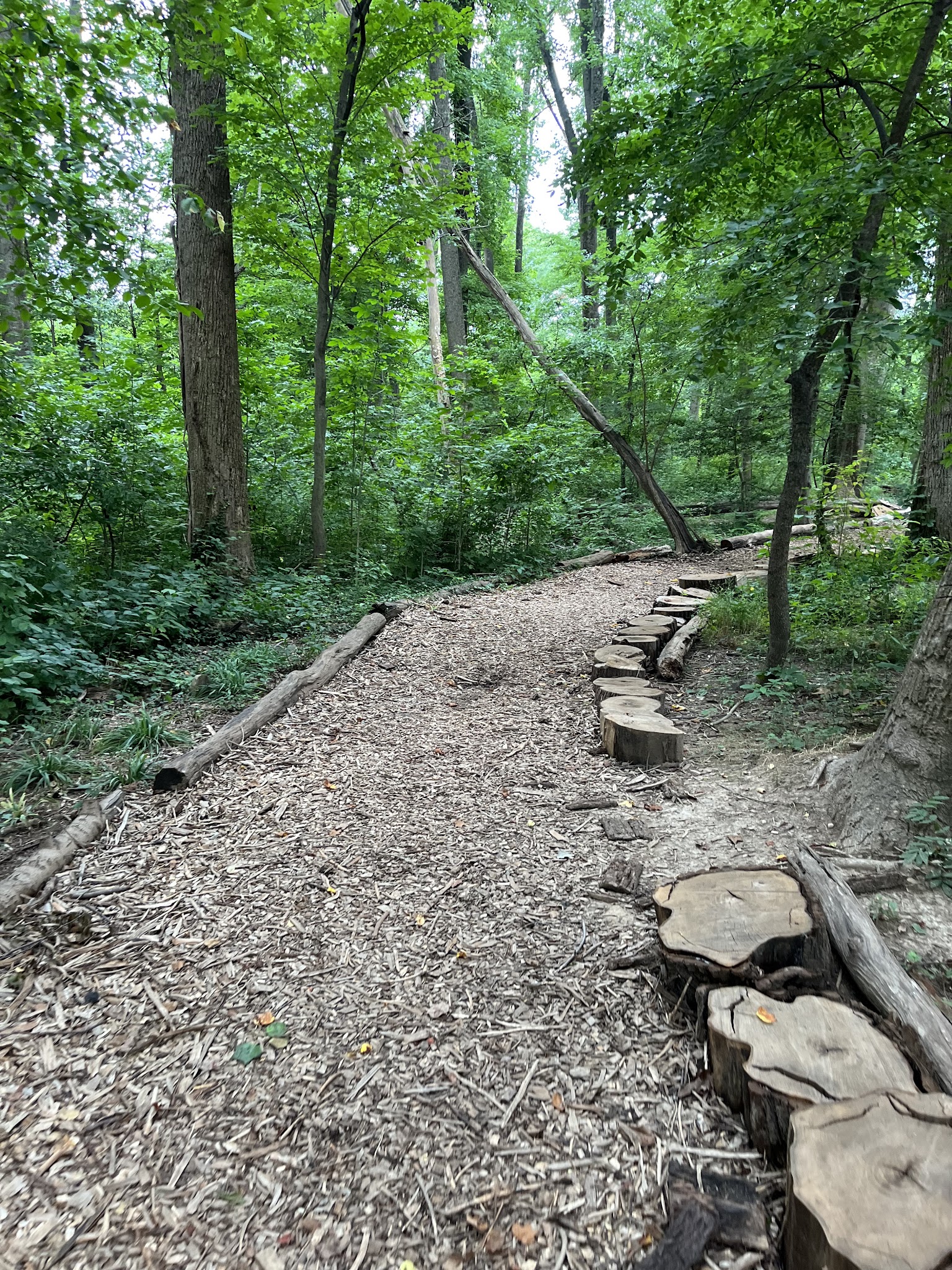 Howard E Herman Park - Falls Church, VA