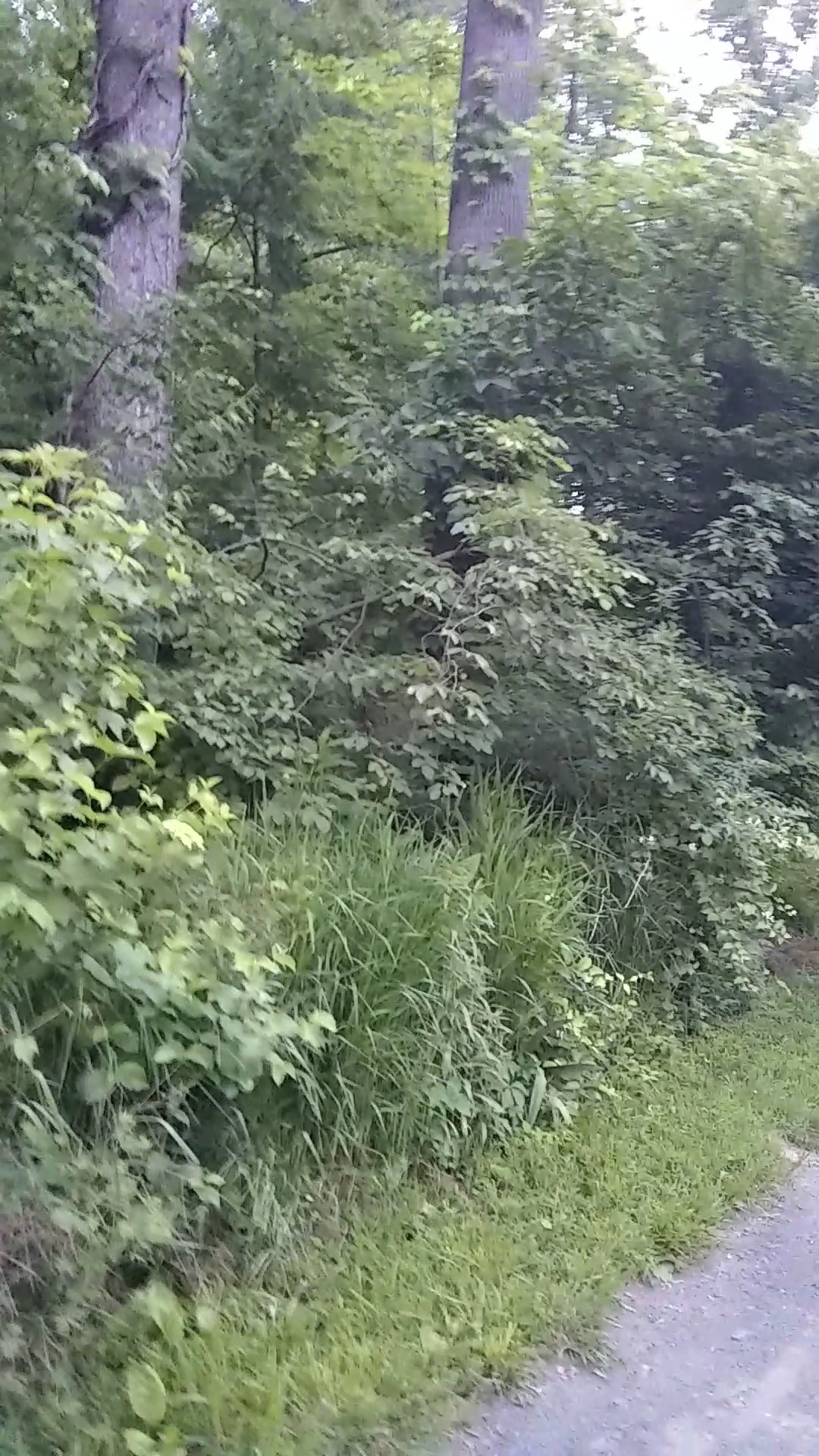 Howard E Herman Park - Falls Church, VA