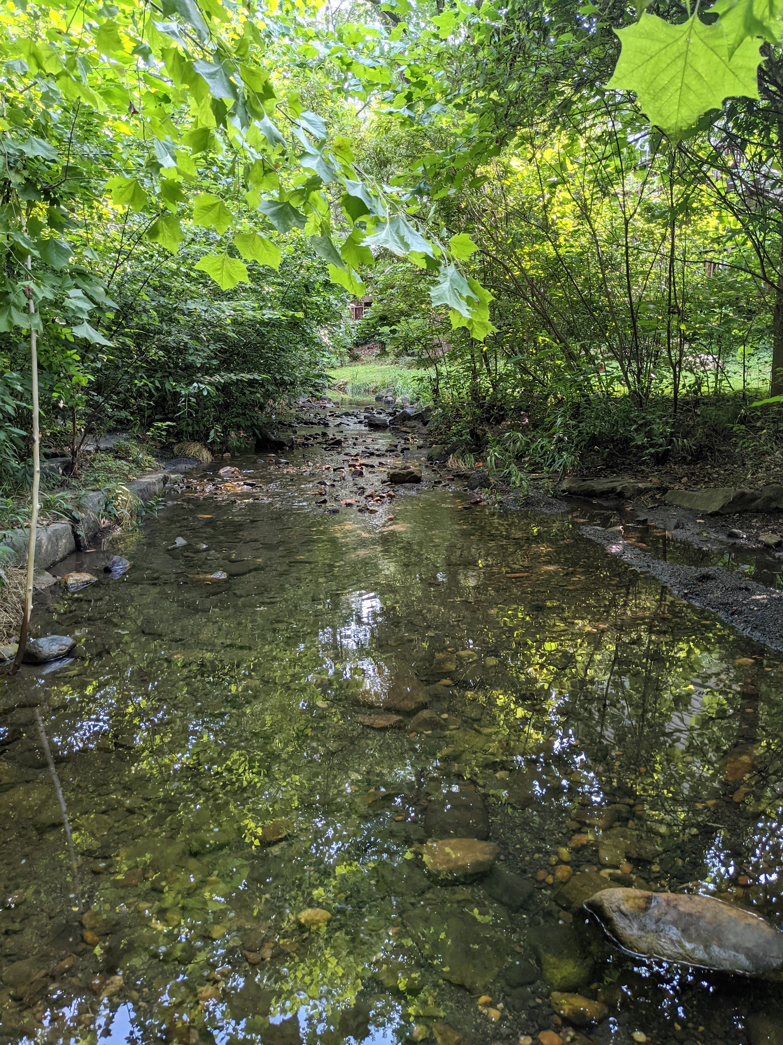Howard E Herman Park - Falls Church, VA