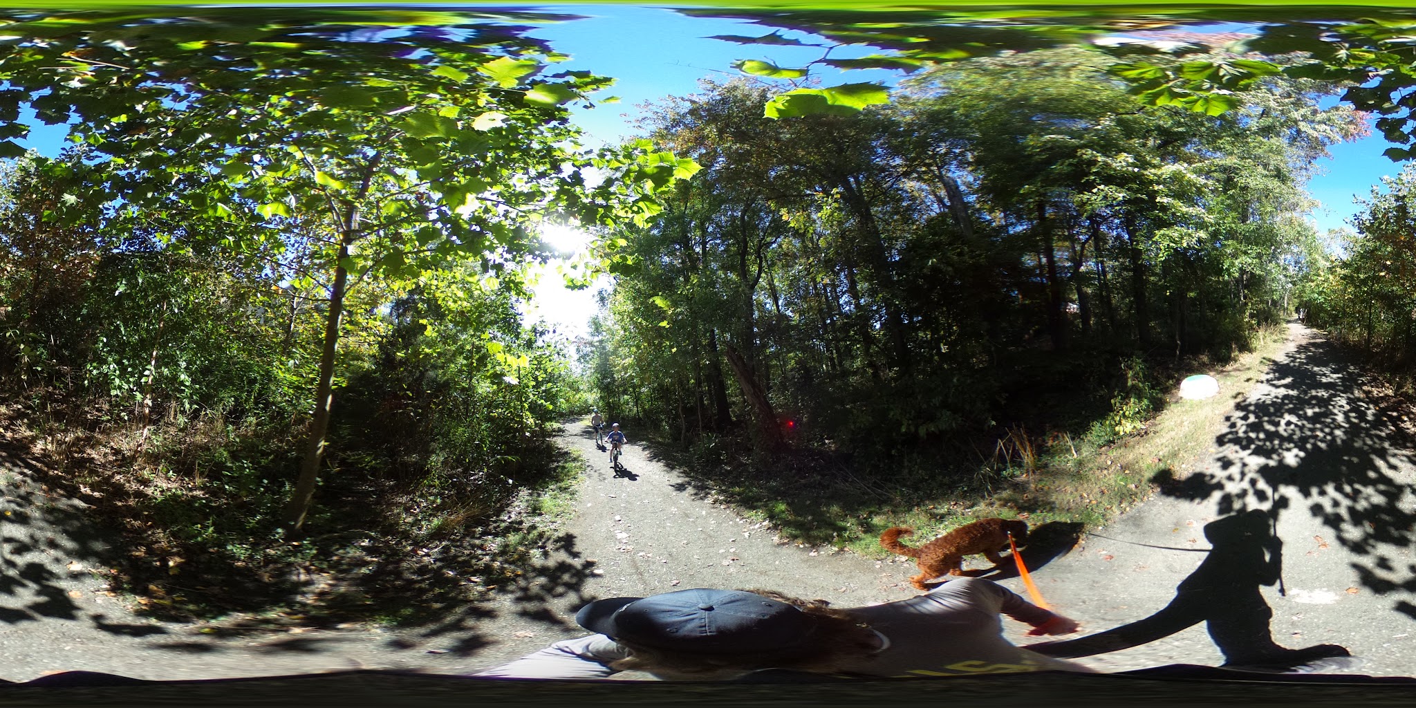 Howard E Herman Park - Falls Church, VA